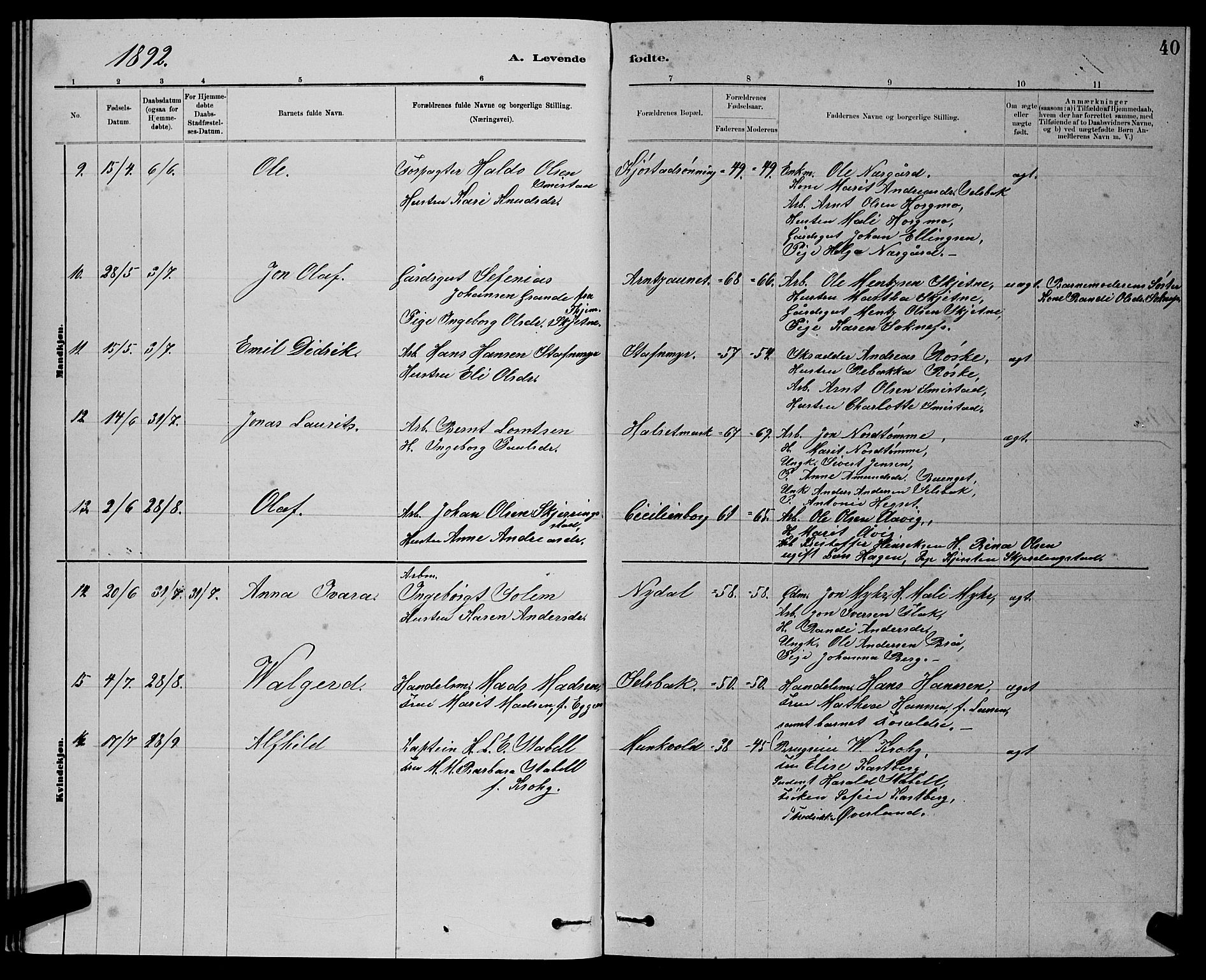 Ministerialprotokoller, klokkerbøker og fødselsregistre - Sør-Trøndelag, SAT/A-1456/611/L0354: Parish register (copy) no. 611C02, 1881-1896, p. 40
