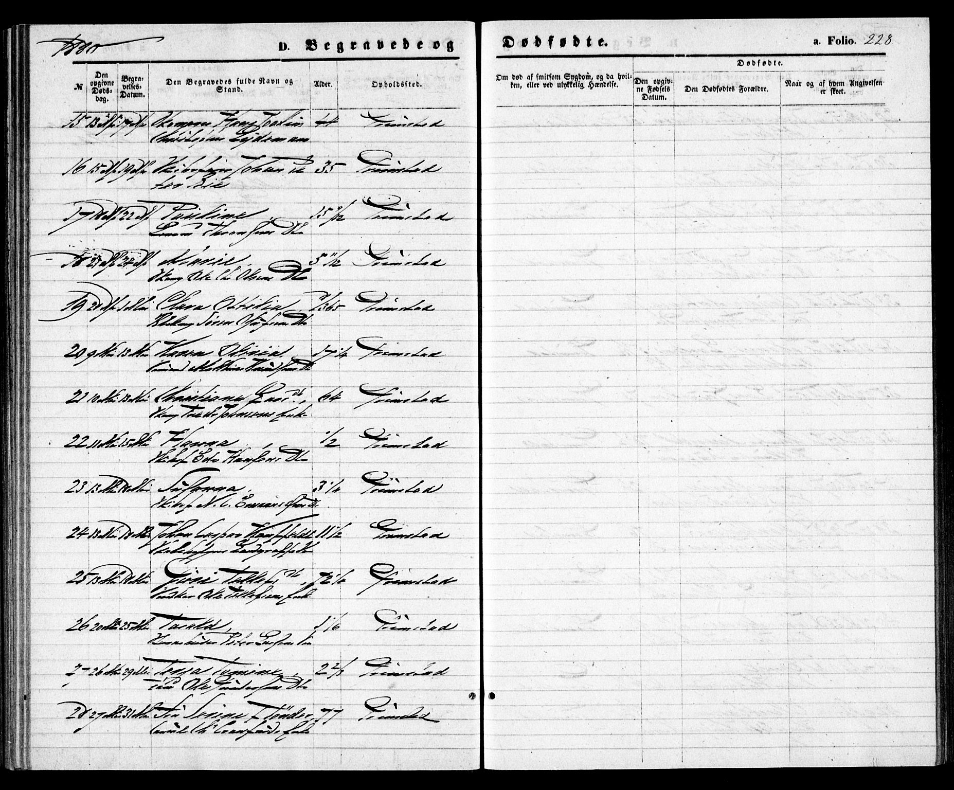 Grimstad sokneprestkontor, SAK/1111-0017/F/Fa/L0002: Parish register (official) no. A 1, 1869-1881, p. 228