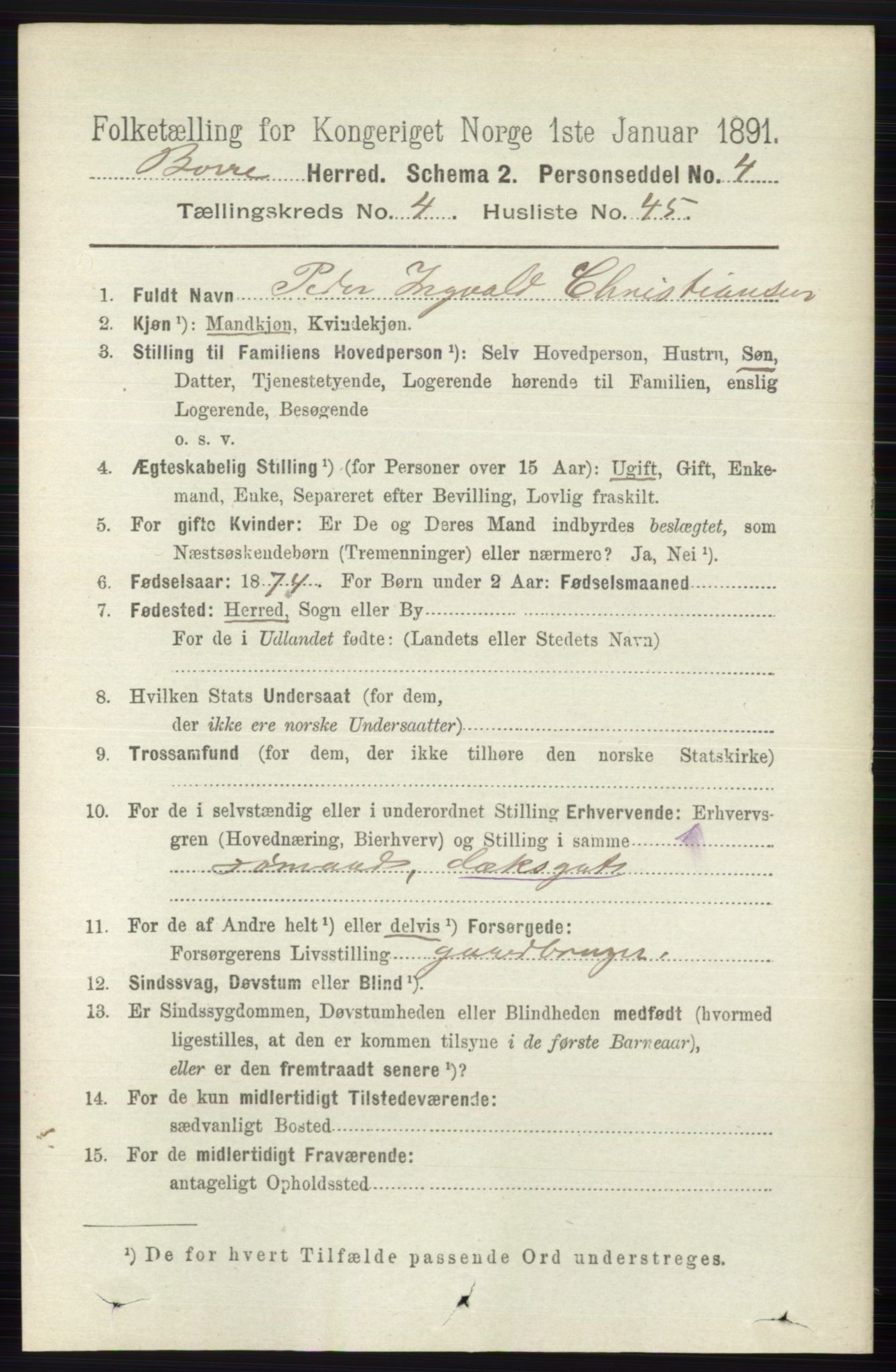 RA, 1891 census for 0717 Borre, 1891, p. 1908