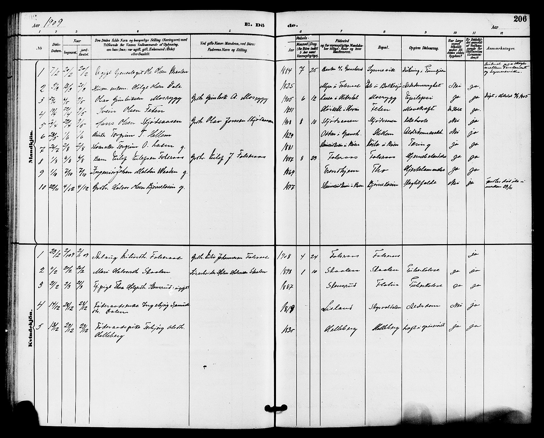 Gransherad kirkebøker, SAKO/A-267/G/Ga/L0003: Parish register (copy) no. I 3, 1887-1915, p. 206