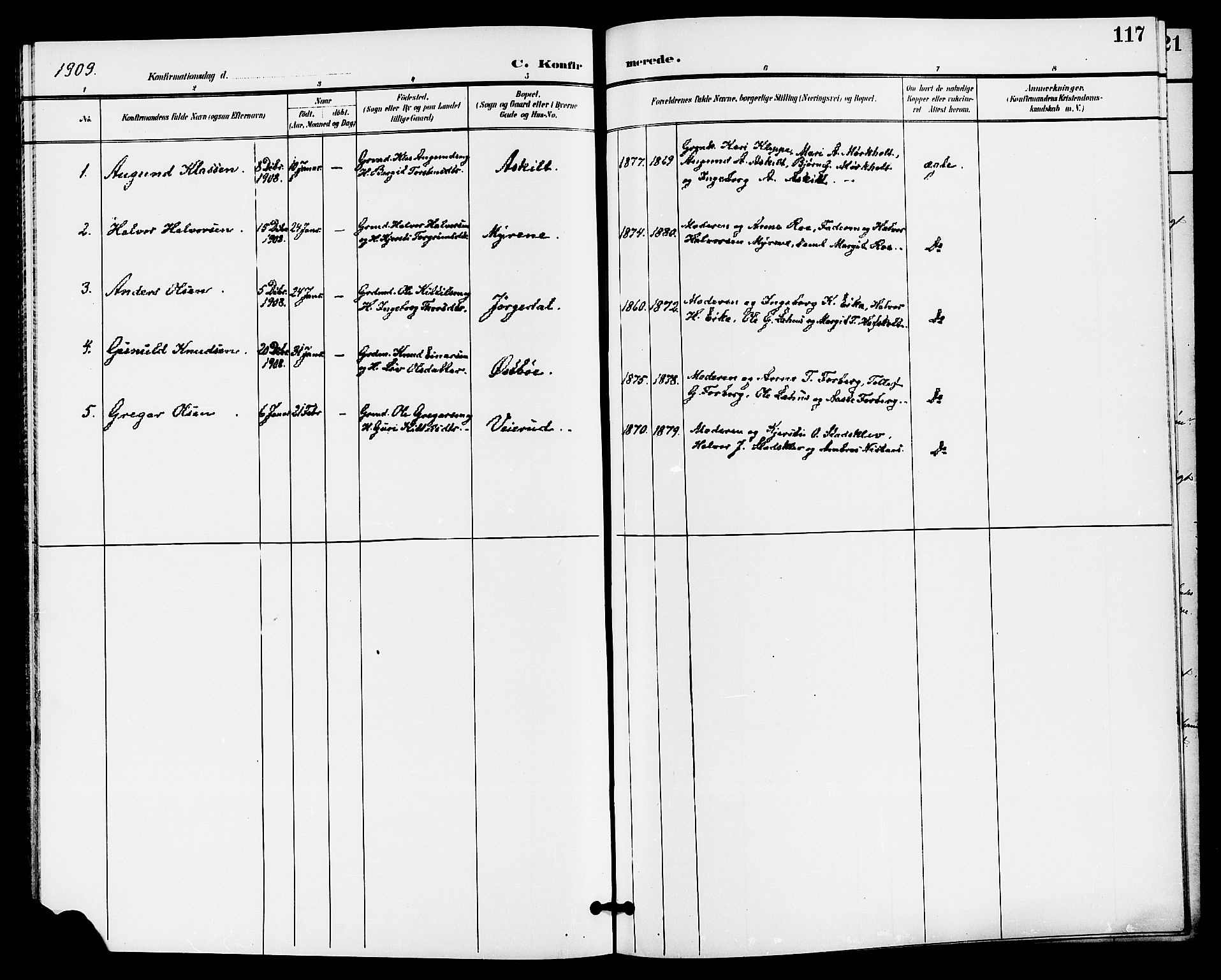 Bø kirkebøker, SAKO/A-257/G/Ga/L0006: Parish register (copy) no. 6, 1898-1909, p. 117