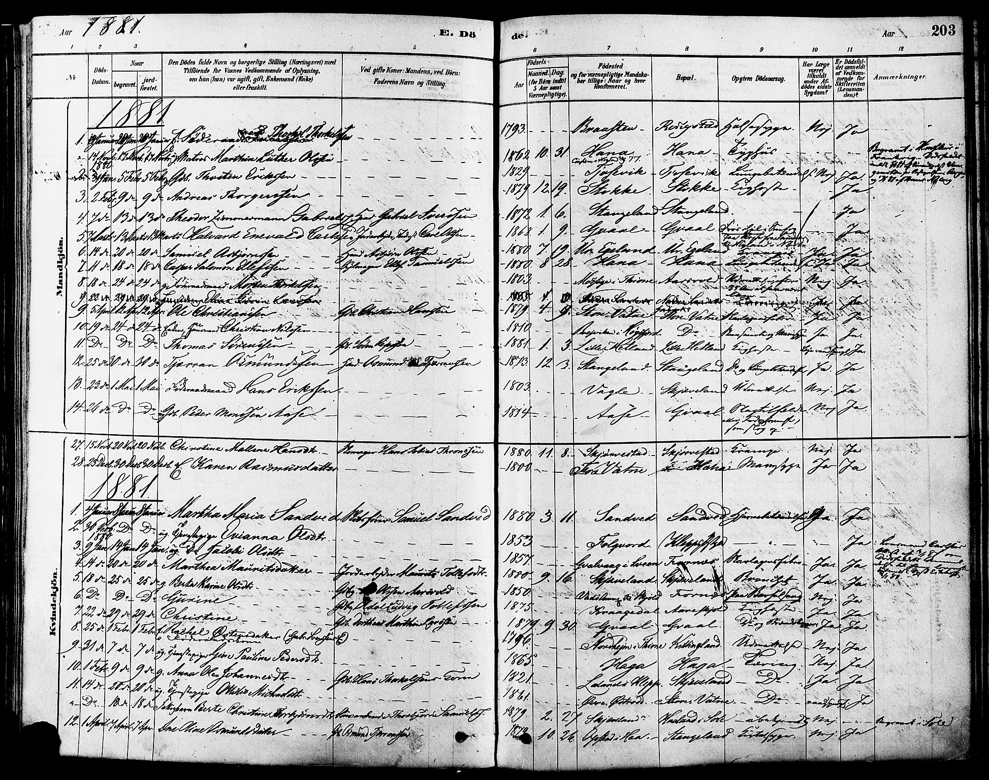 Høyland sokneprestkontor, AV/SAST-A-101799/001/30BA/L0011: Parish register (official) no. A 10, 1878-1888, p. 203