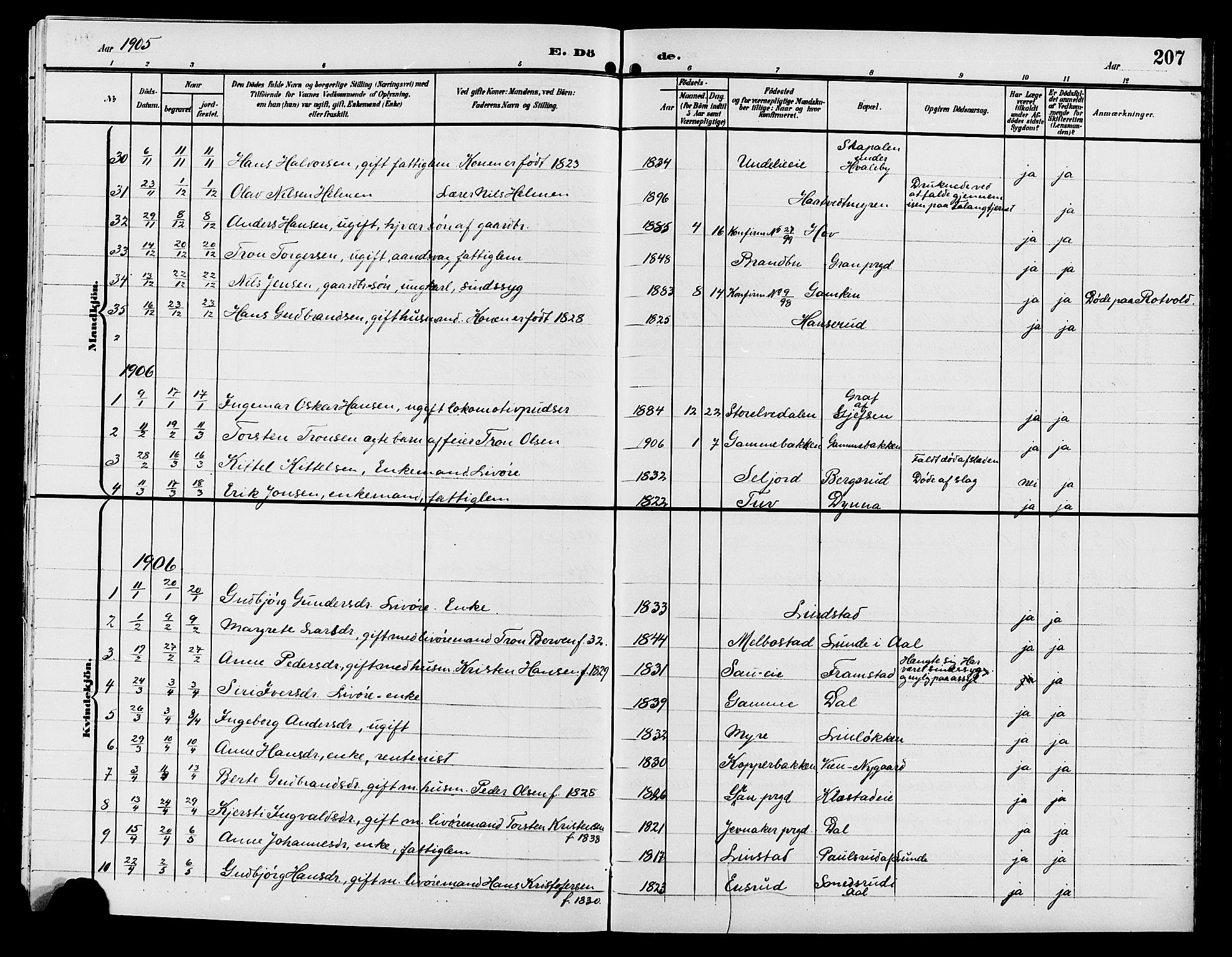 Gran prestekontor, SAH/PREST-112/H/Ha/Hab/L0006: Parish register (copy) no. 6, 1901-1911, p. 207