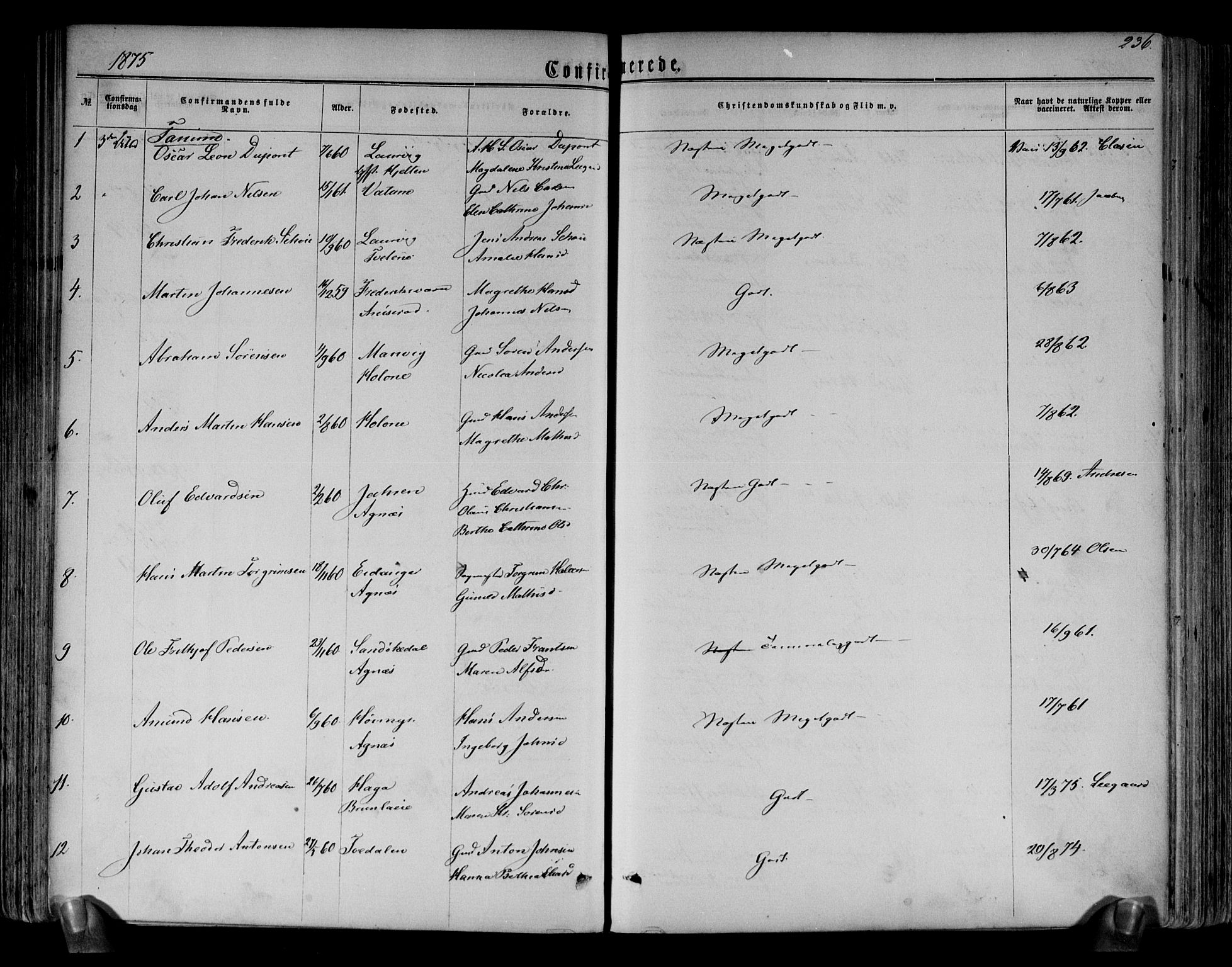 Brunlanes kirkebøker, AV/SAKO-A-342/F/Fa/L0005: Parish register (official) no. I 5, 1862-1877, p. 236