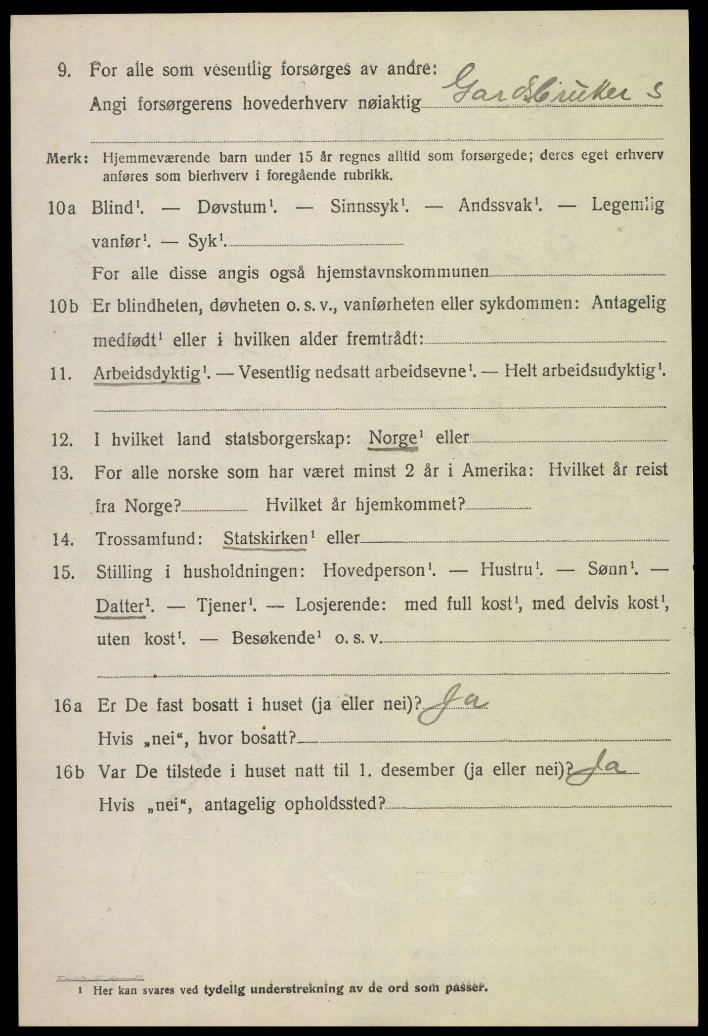 SAH, 1920 census for Skjåk, 1920, p. 3393