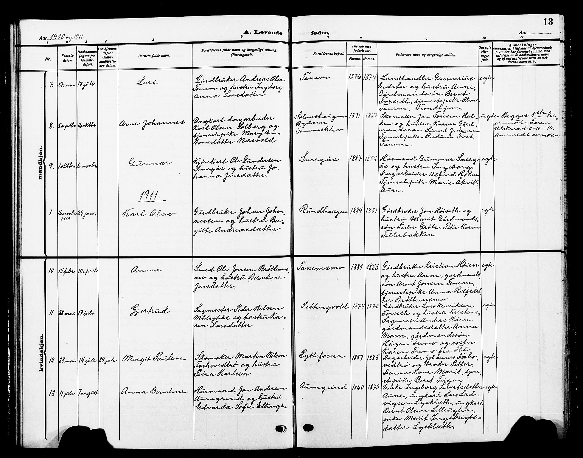 Ministerialprotokoller, klokkerbøker og fødselsregistre - Sør-Trøndelag, SAT/A-1456/618/L0453: Parish register (copy) no. 618C04, 1907-1925, p. 13