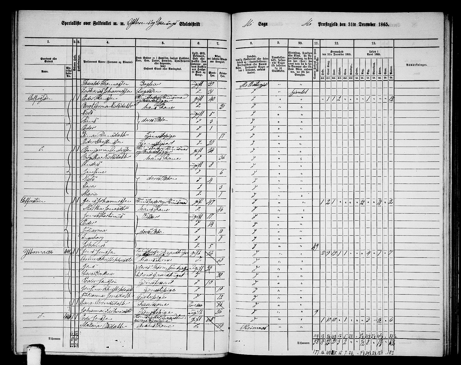 RA, 1865 census for Mo, 1865, p. 119