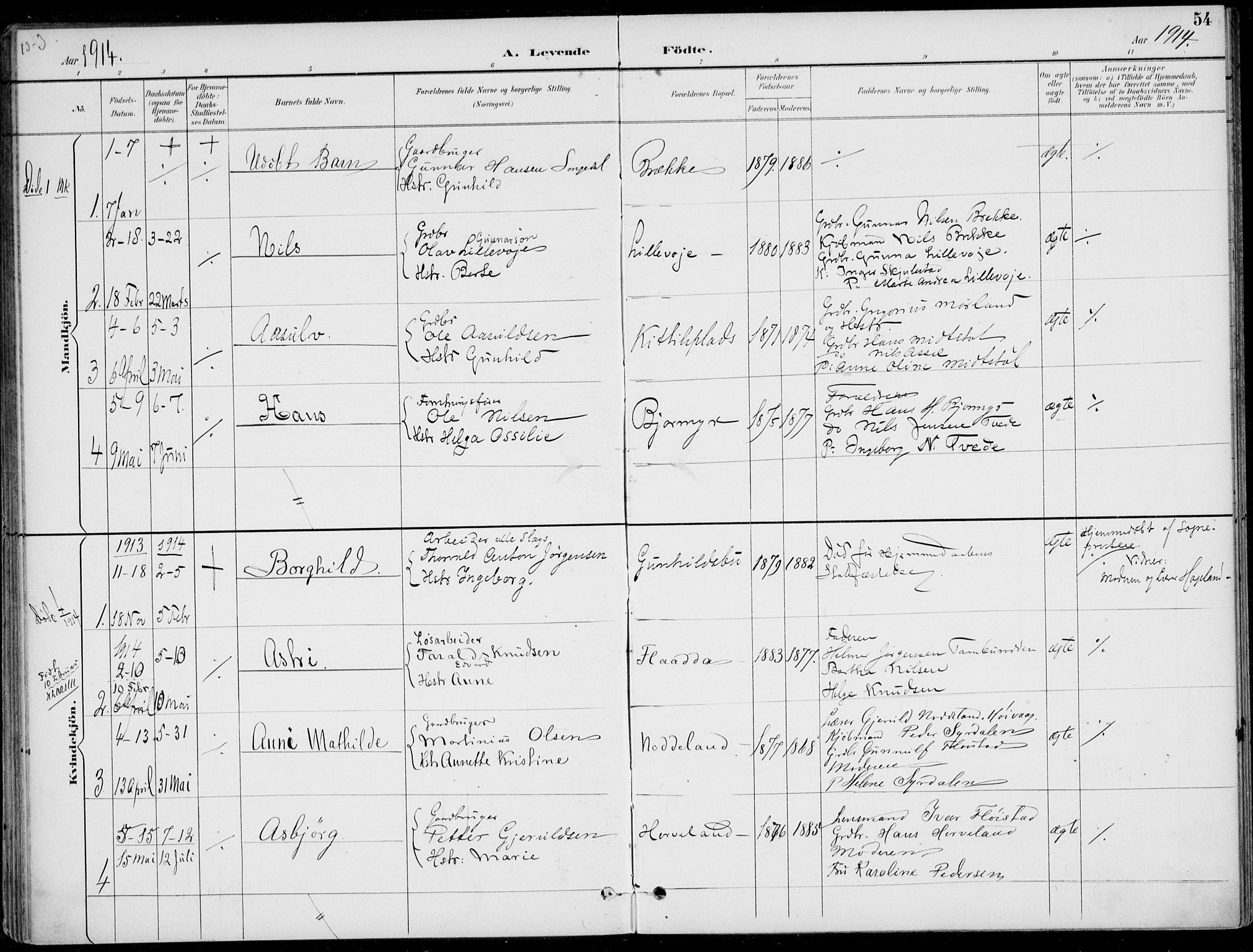 Austre Moland sokneprestkontor, AV/SAK-1111-0001/F/Fa/Faa/L0011: Parish register (official) no. A 11, 1894-1915, p. 54