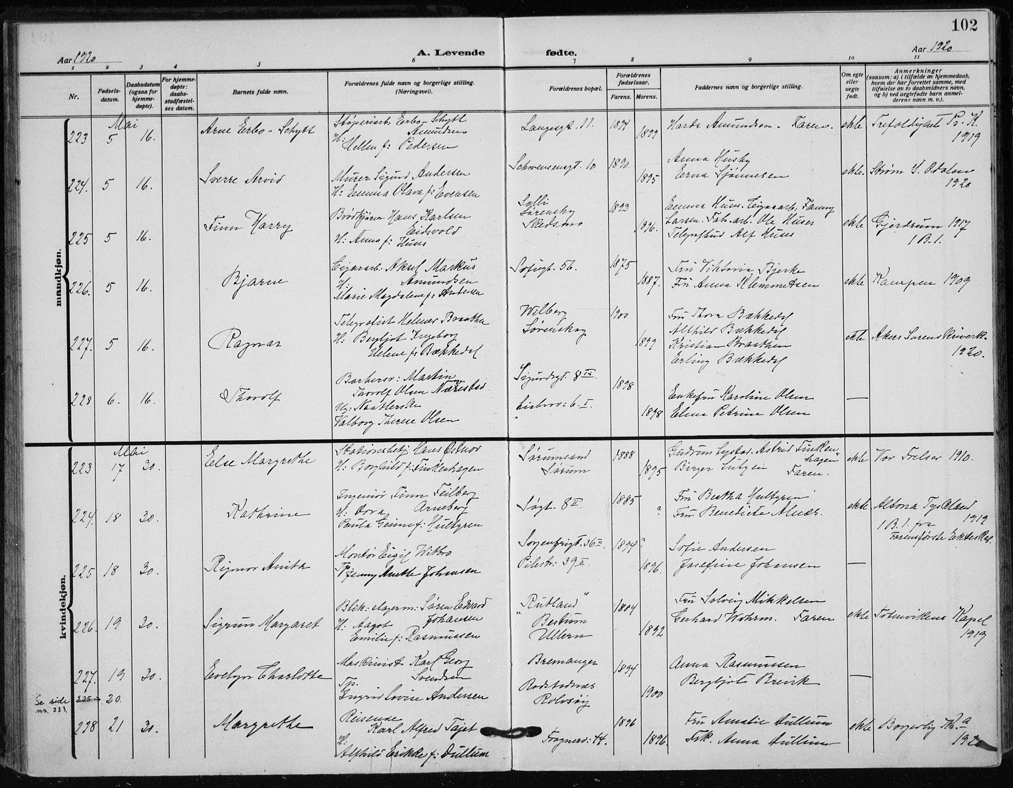 Rikshospitalet prestekontor Kirkebøker, SAO/A-10309b/F/L0017: Parish register (official) no. 17, 1919-1922, p. 102