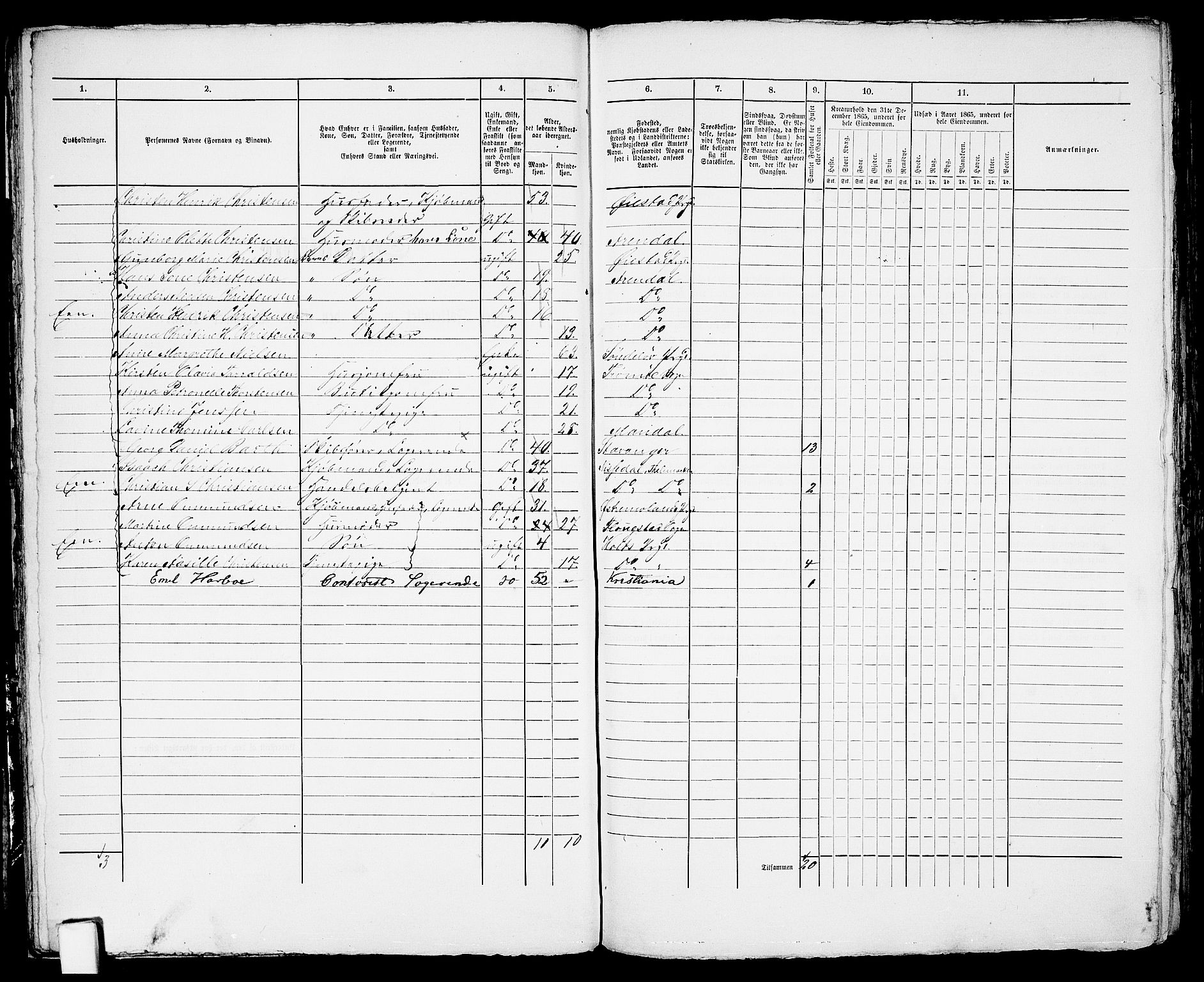 RA, 1865 census for Arendal, 1865, p. 34