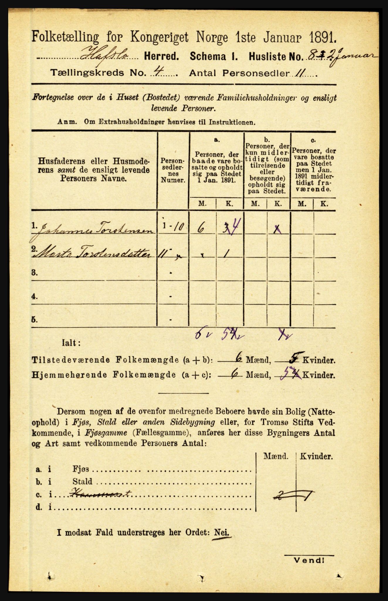 RA, 1891 census for 1425 Hafslo, 1891, p. 1523