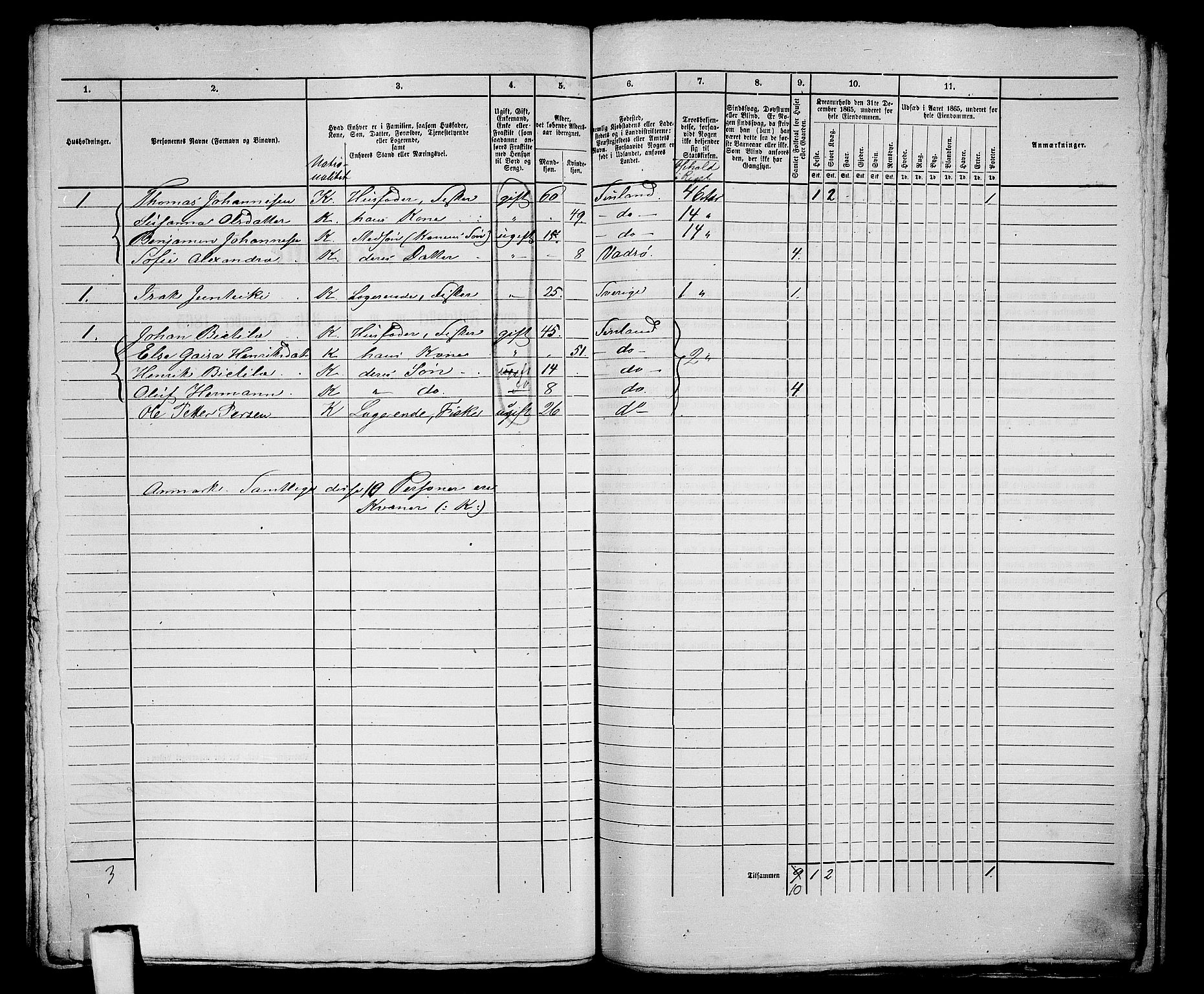 RA, 1865 census for Vadsø/Vadsø, 1865, p. 251