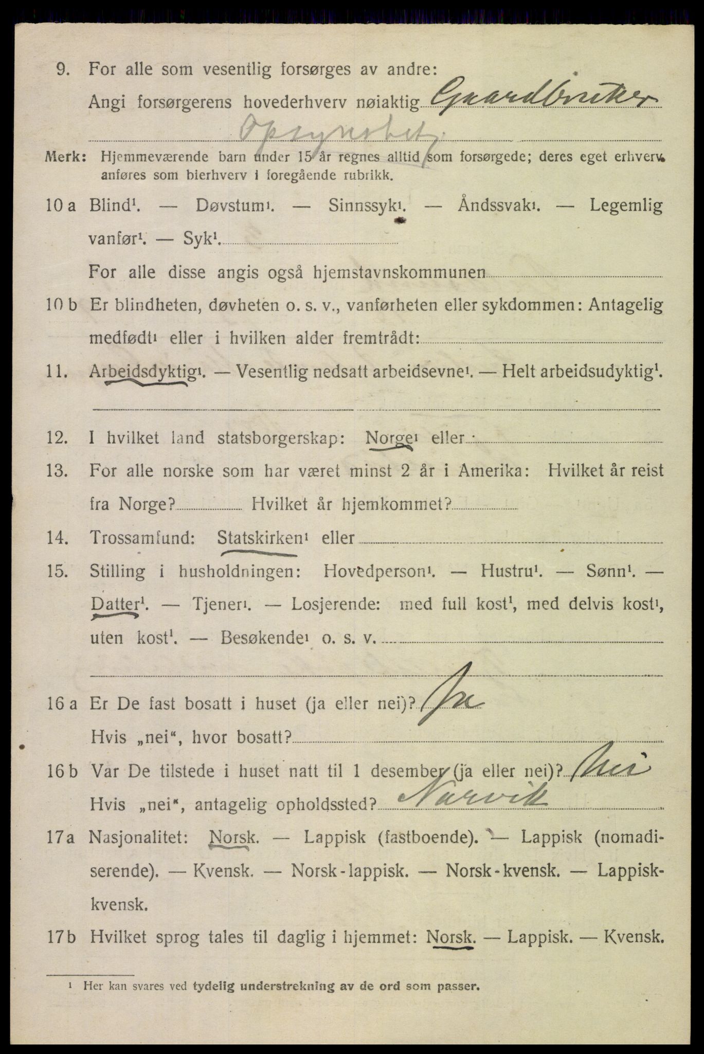 SAT, 1920 census for Tjeldsund, 1920, p. 1141