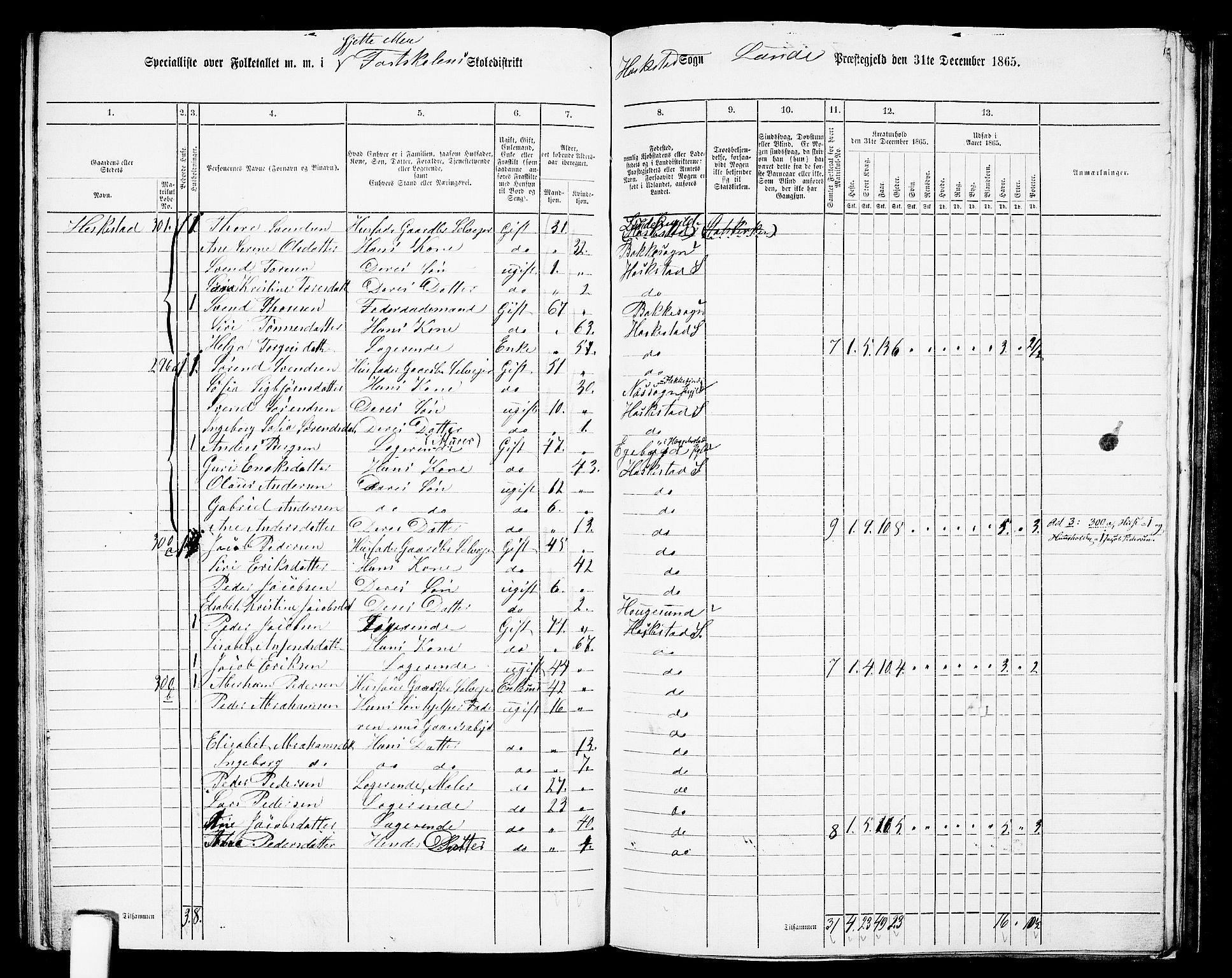 RA, 1865 census for Lund, 1865, p. 80