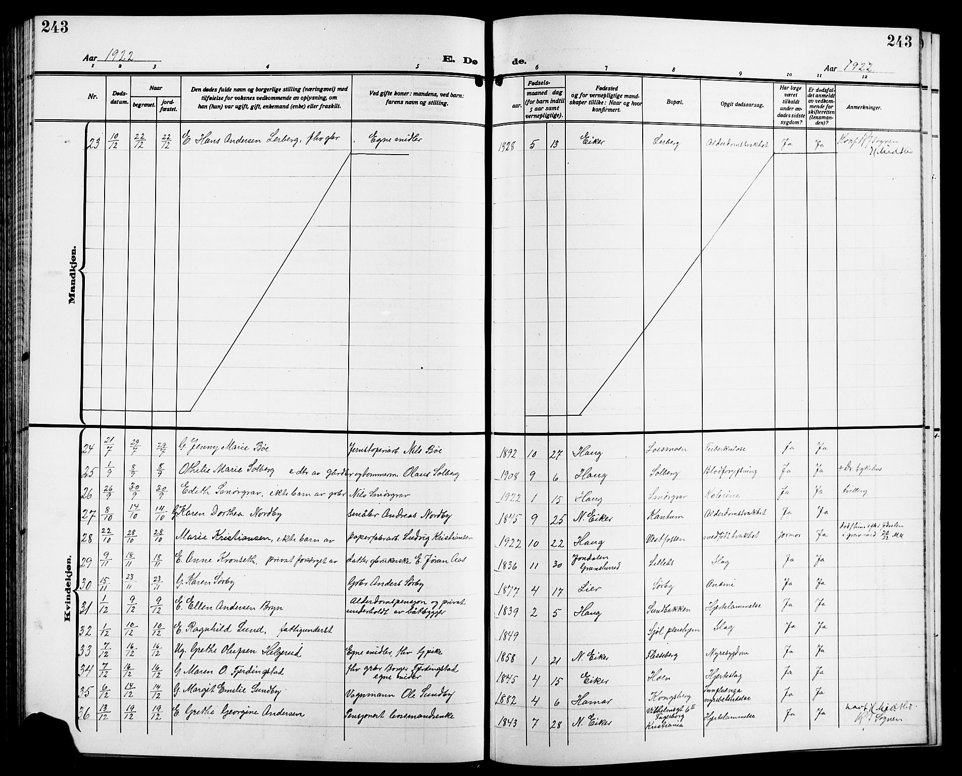 Eiker kirkebøker, AV/SAKO-A-4/G/Ga/L0009: Parish register (copy) no. I 9, 1915-1924, p. 243