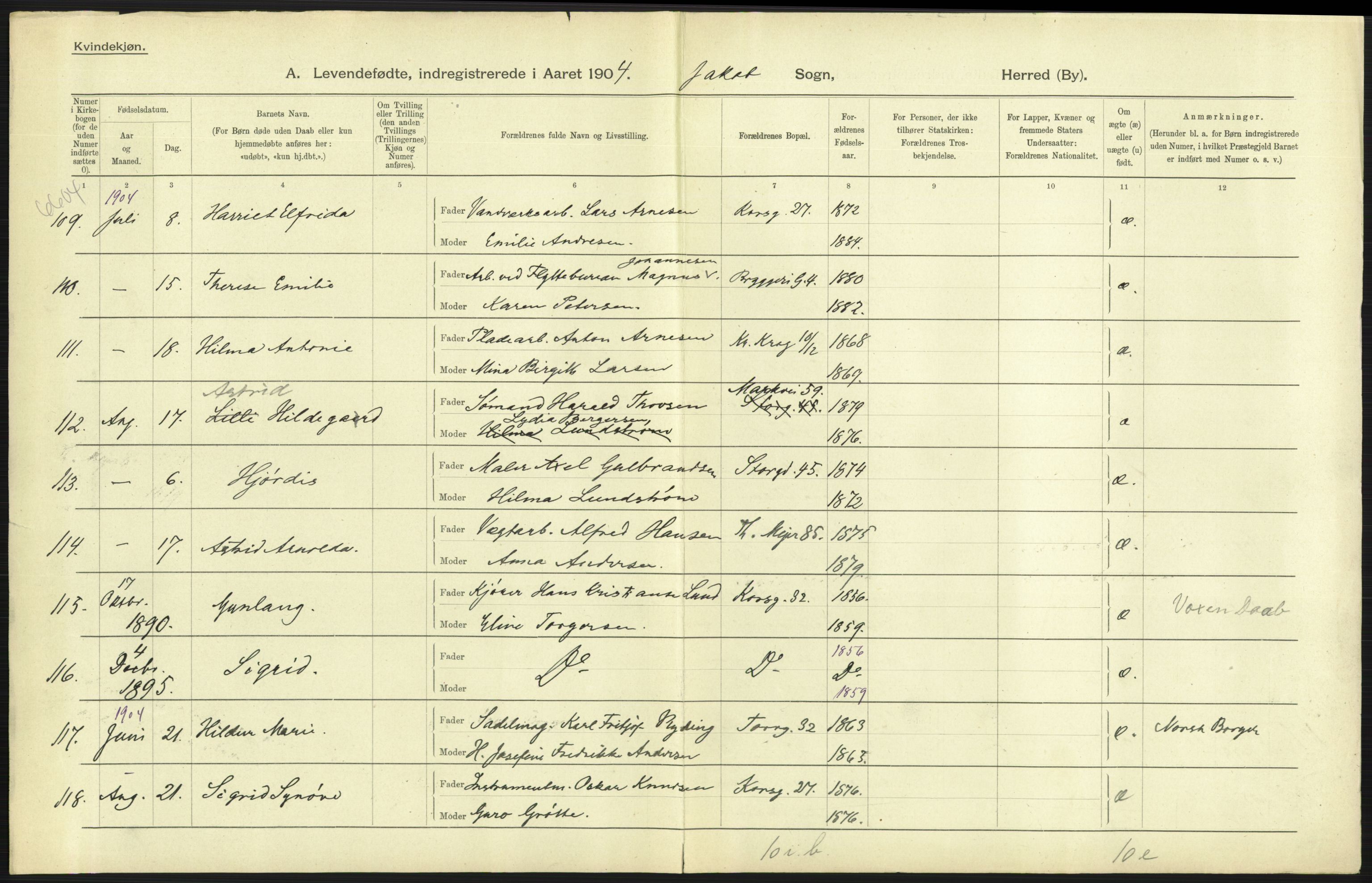 Statistisk sentralbyrå, Sosiodemografiske emner, Befolkning, AV/RA-S-2228/D/Df/Dfa/Dfab/L0003: Kristiania: Fødte, 1904, p. 31