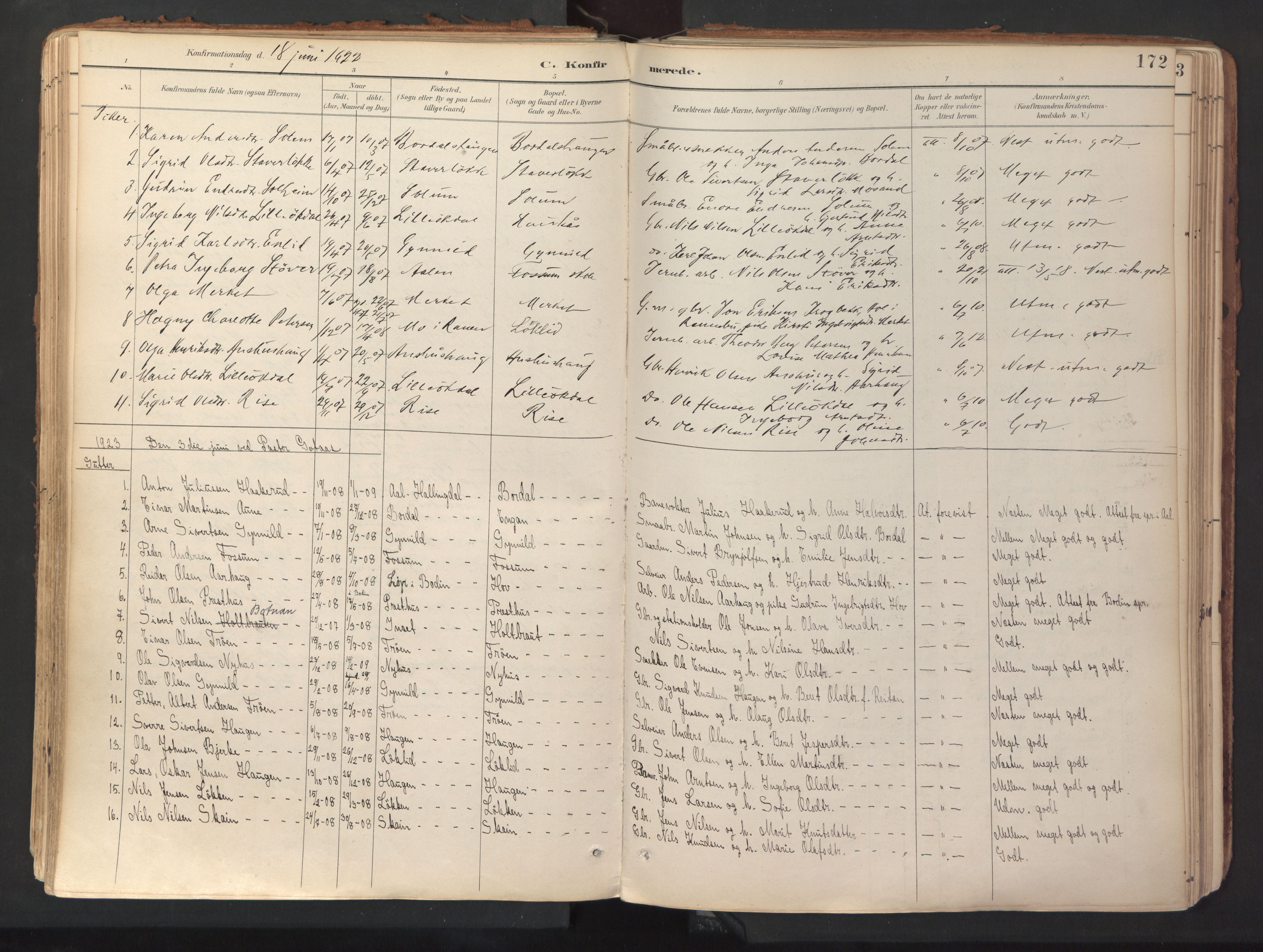 Ministerialprotokoller, klokkerbøker og fødselsregistre - Sør-Trøndelag, SAT/A-1456/689/L1041: Parish register (official) no. 689A06, 1891-1923, p. 172