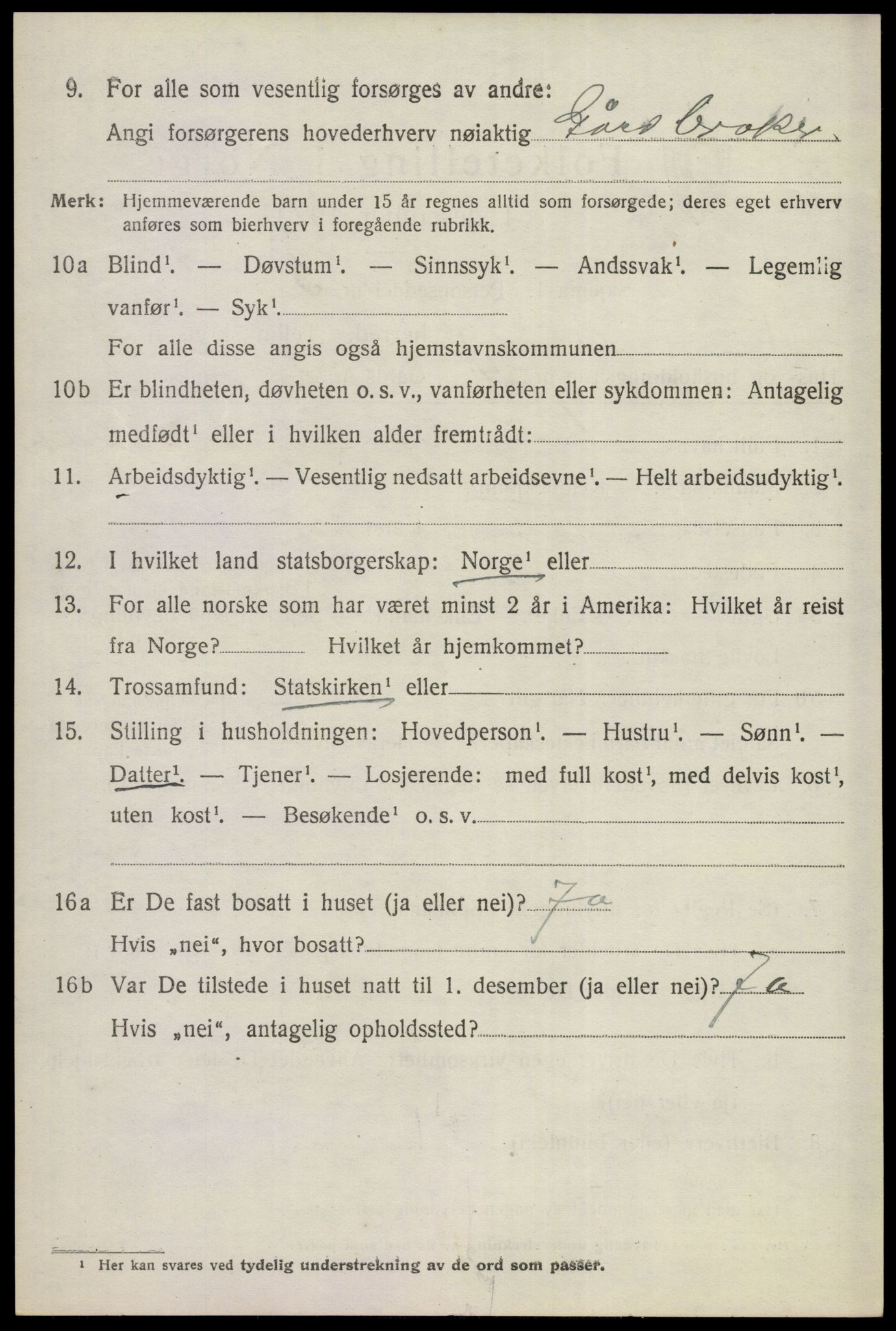 SAKO, 1920 census for Gol, 1920, p. 3555