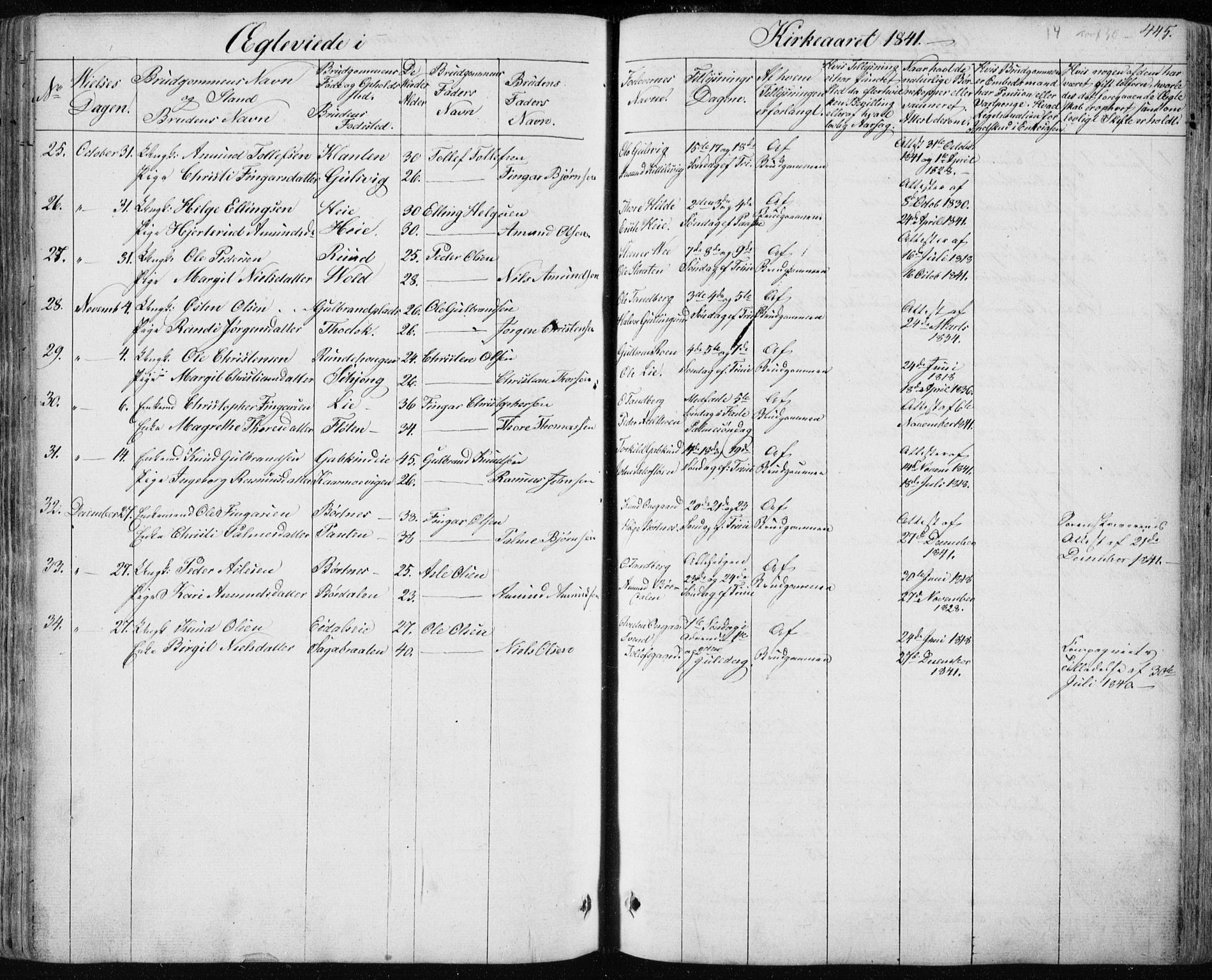 Nes kirkebøker, AV/SAKO-A-236/F/Fa/L0009: Parish register (official) no. 9, 1834-1863, p. 445