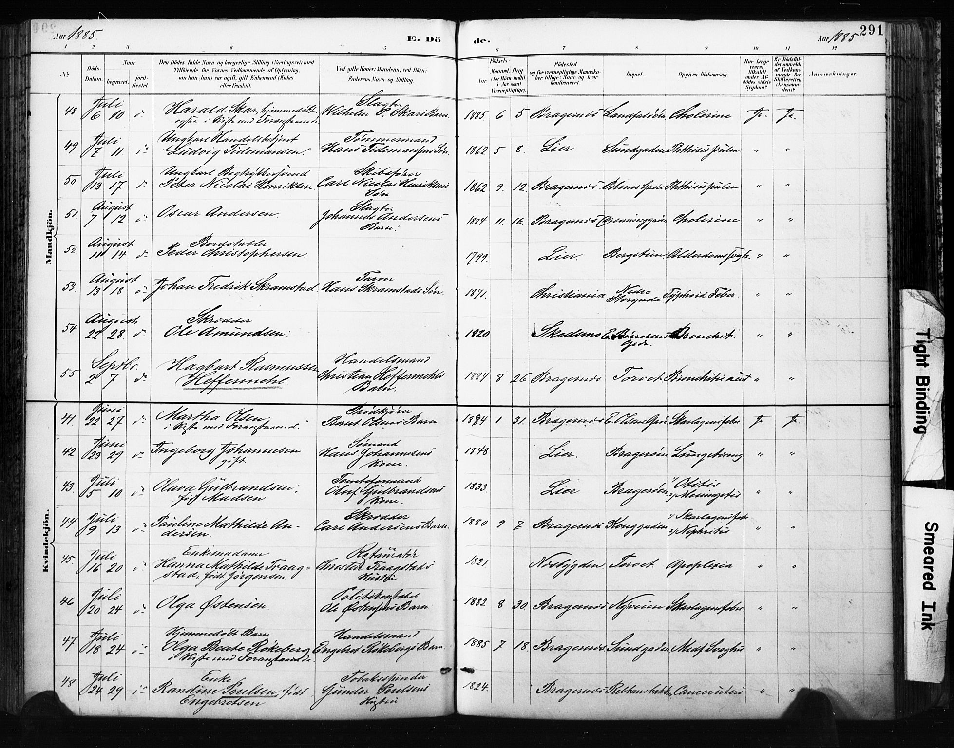 Bragernes kirkebøker, AV/SAKO-A-6/F/Fb/L0007: Parish register (official) no. II 7, 1885-1893, p. 291