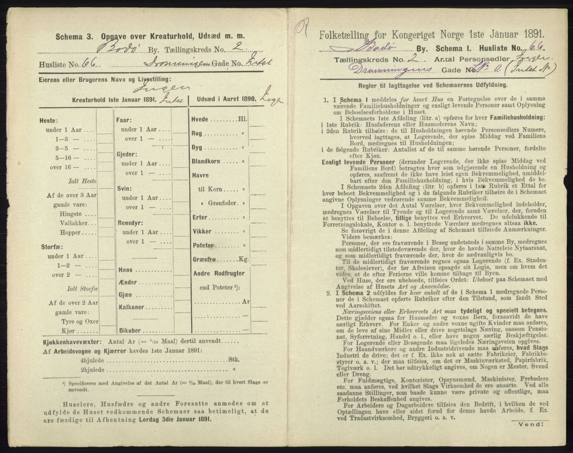 RA, 1891 census for 1804 Bodø, 1891, p. 980