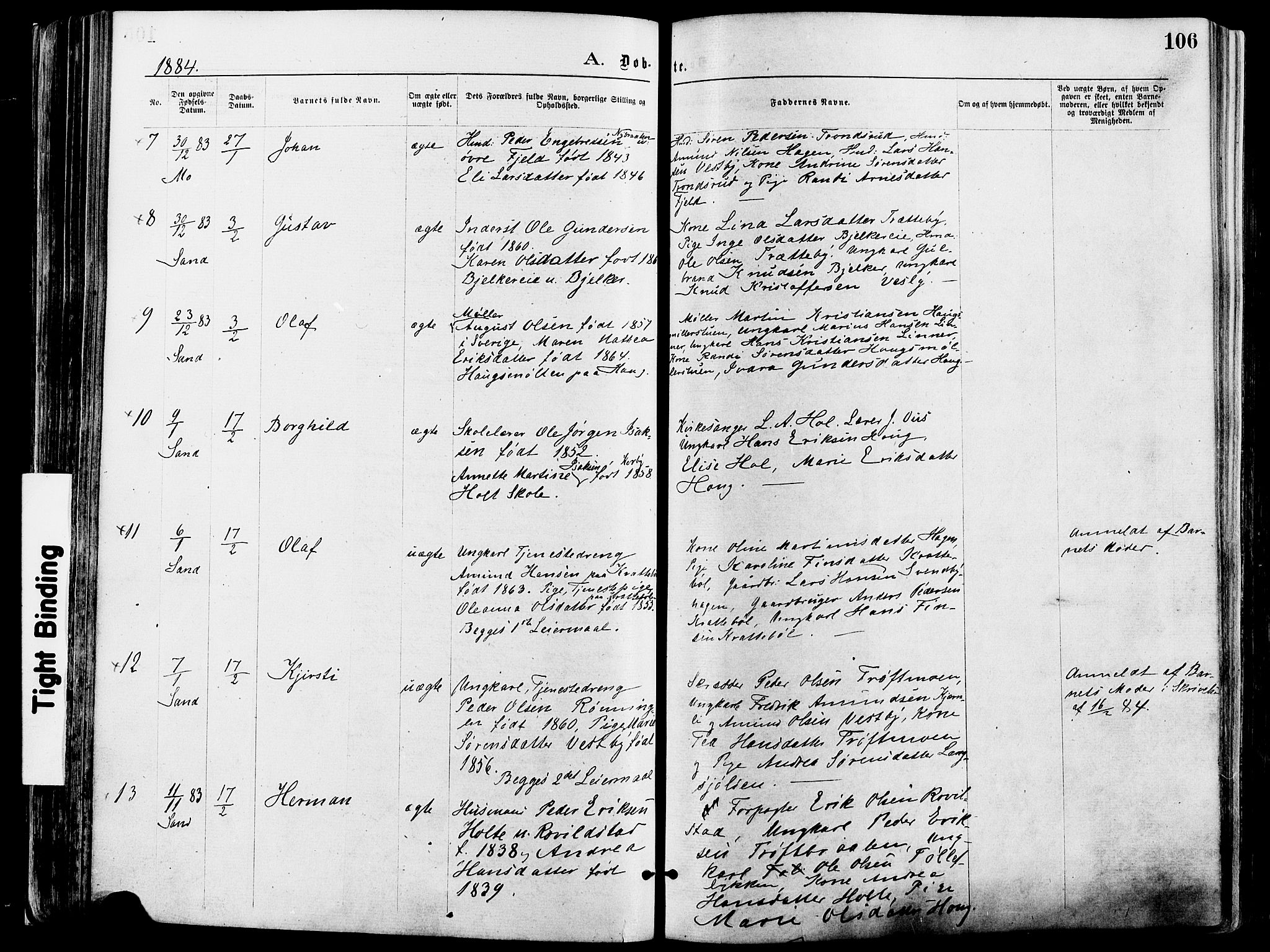 Nord-Odal prestekontor, AV/SAH-PREST-032/H/Ha/Haa/L0005: Parish register (official) no. 5, 1874-1885, p. 106