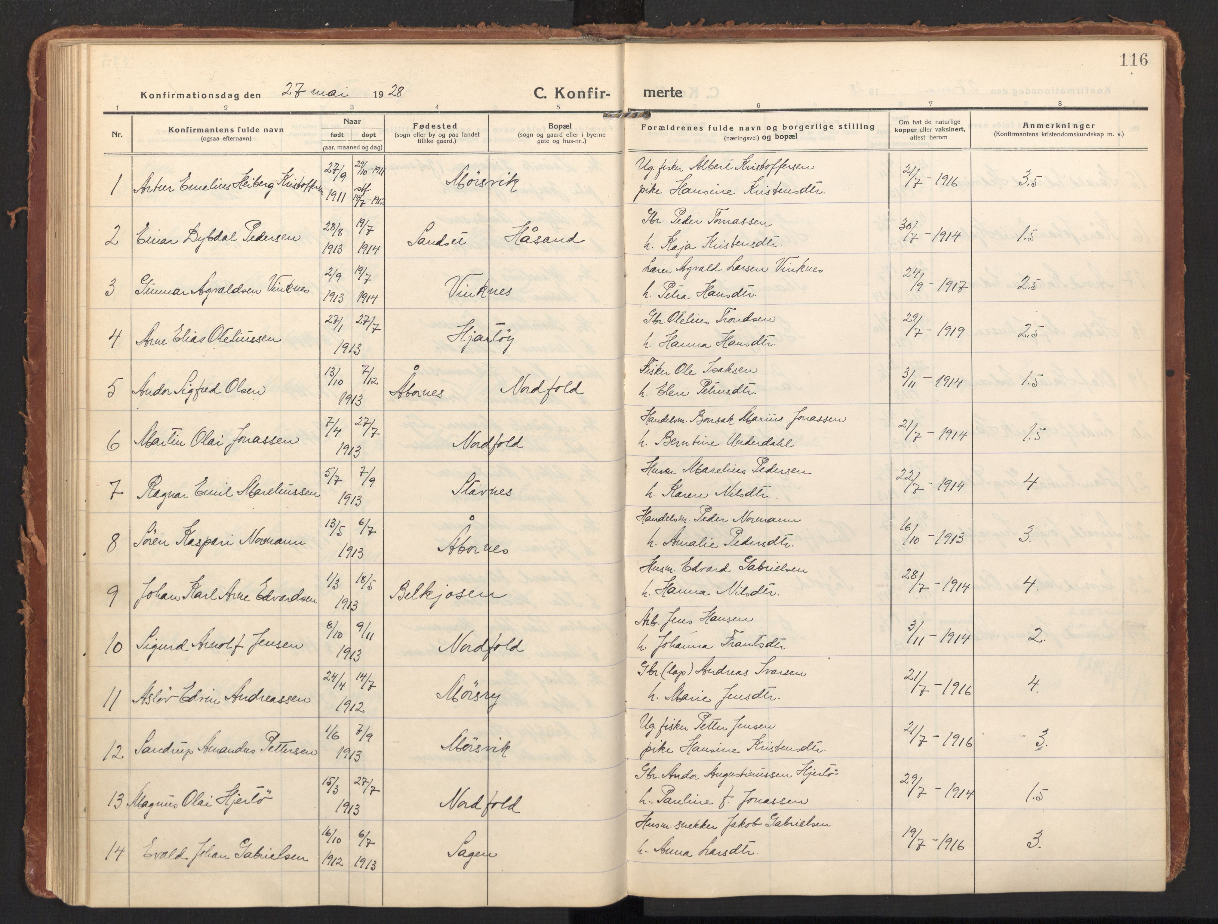 Ministerialprotokoller, klokkerbøker og fødselsregistre - Nordland, SAT/A-1459/858/L0833: Parish register (official) no. 858A03, 1916-1934, p. 116