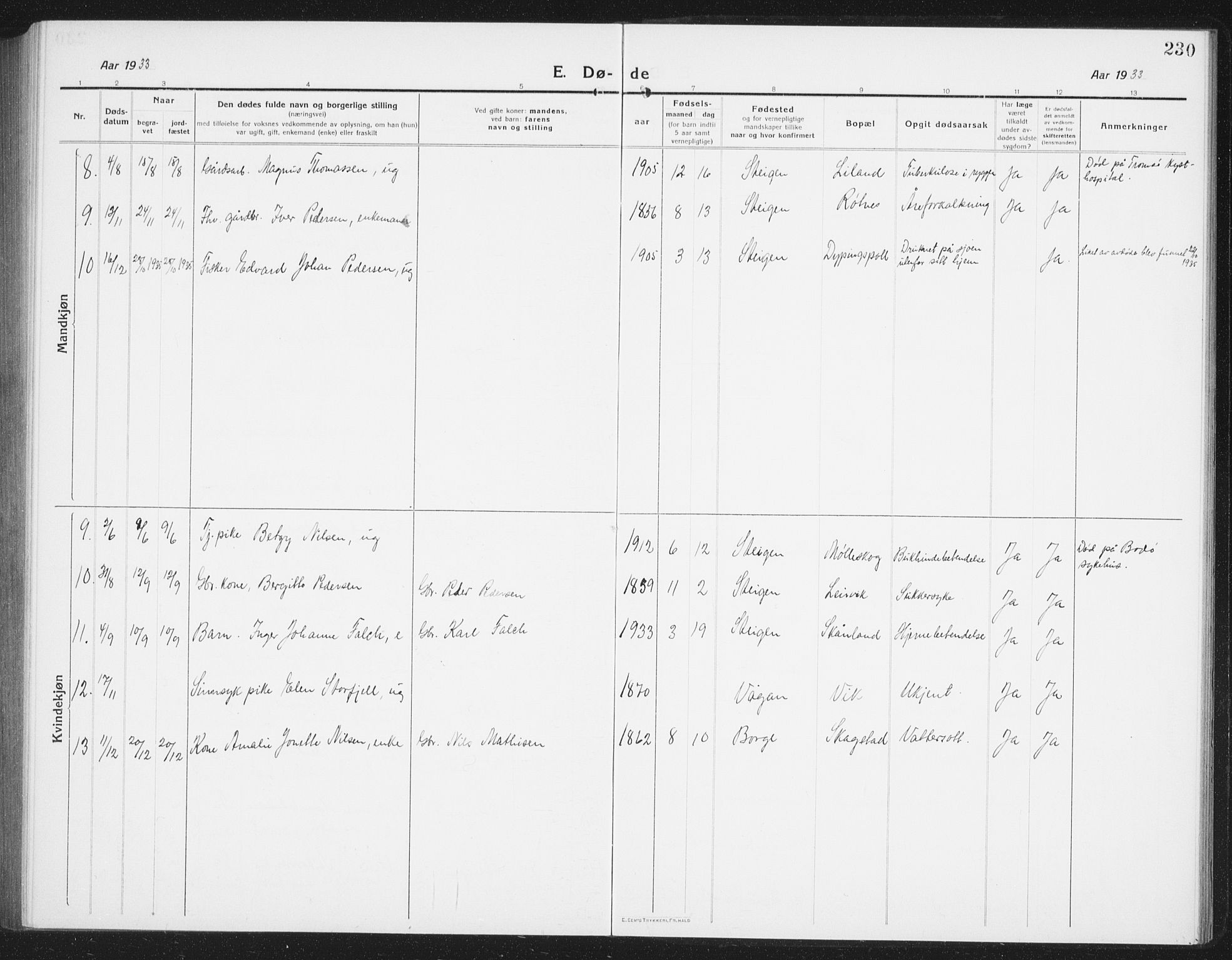 Ministerialprotokoller, klokkerbøker og fødselsregistre - Nordland, SAT/A-1459/855/L0817: Parish register (copy) no. 855C06, 1917-1934, p. 230