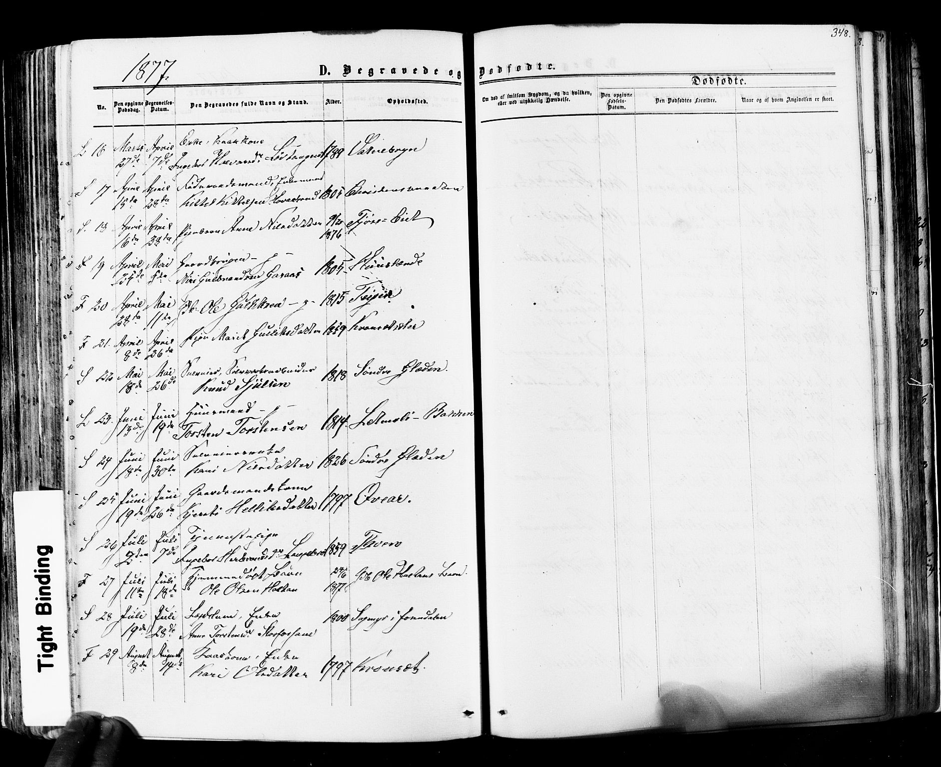 Flesberg kirkebøker, SAKO/A-18/F/Fa/L0007: Parish register (official) no. I 7, 1861-1878, p. 348