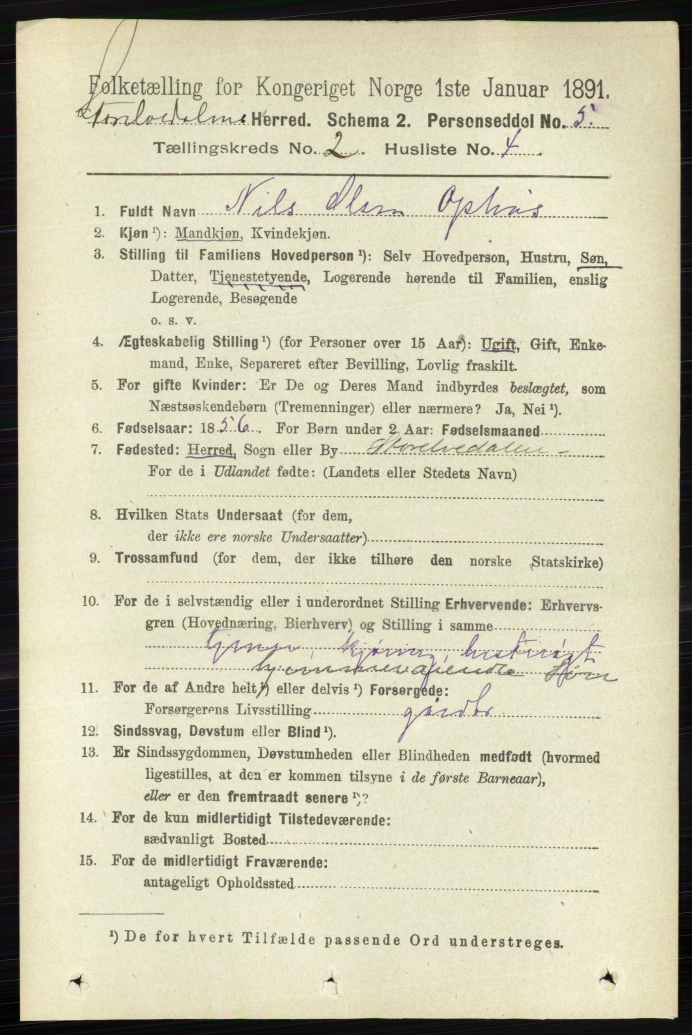 RA, 1891 census for 0430 Stor-Elvdal, 1891, p. 396