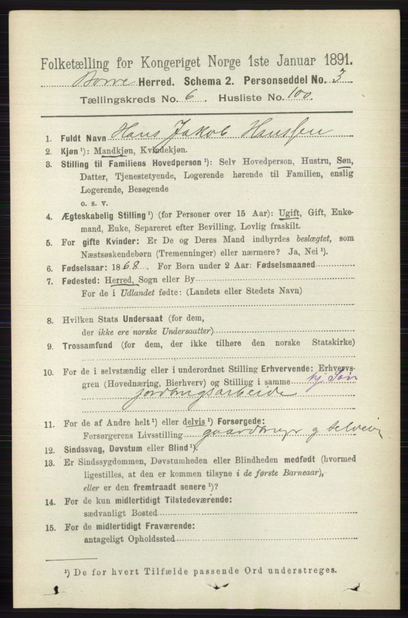 RA, 1891 census for 0717 Borre, 1891, p. 3131