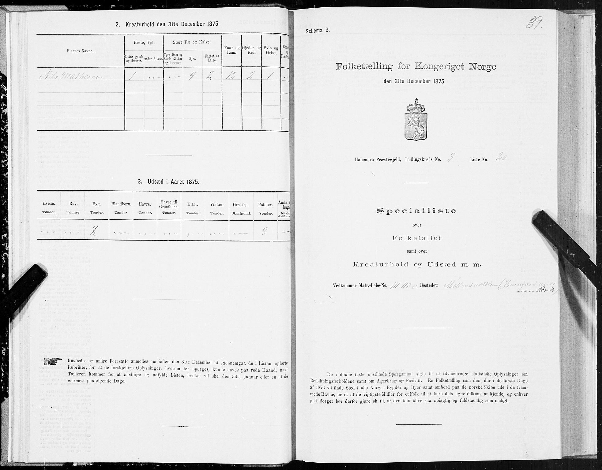 SAT, 1875 census for 1849P Hamarøy, 1875, p. 2039