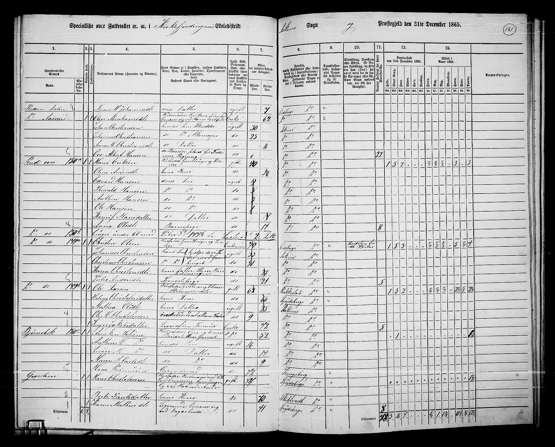 RA, 1865 census for Askim, 1865, p. 24