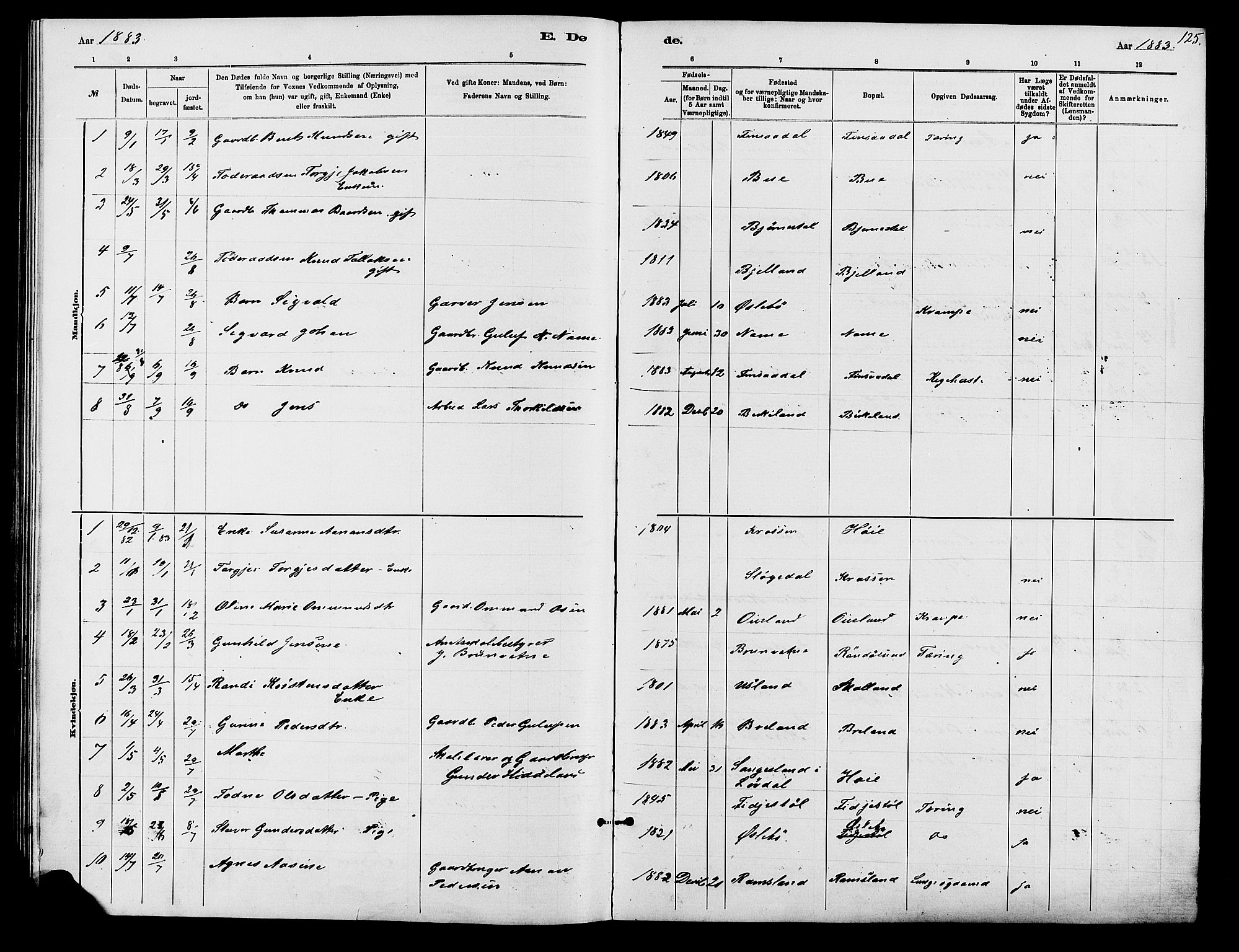 Holum sokneprestkontor, SAK/1111-0022/F/Fb/Fbc/L0003: Parish register (copy) no. B 3, 1882-1908, p. 125