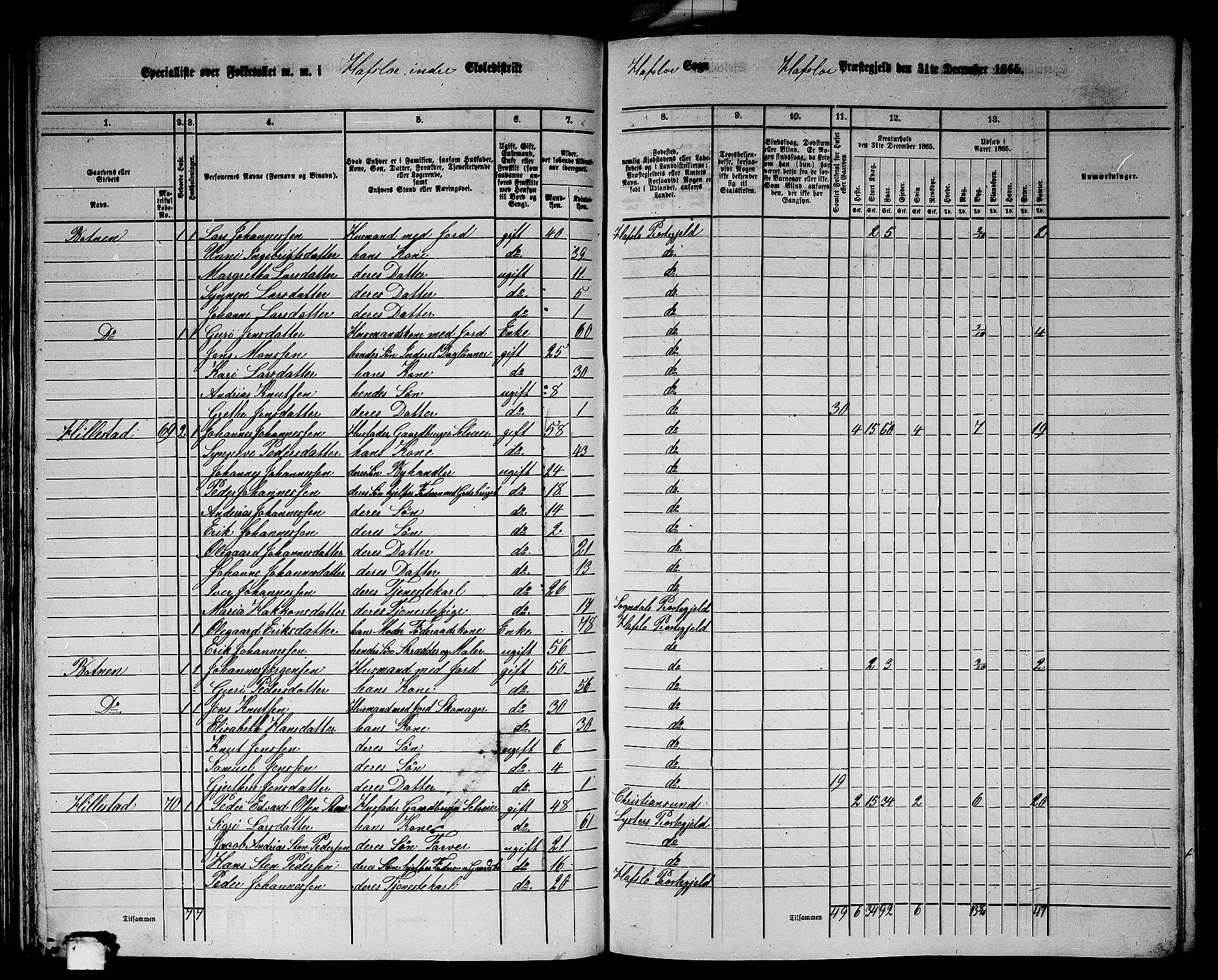 RA, 1865 census for Hafslo, 1865, p. 58