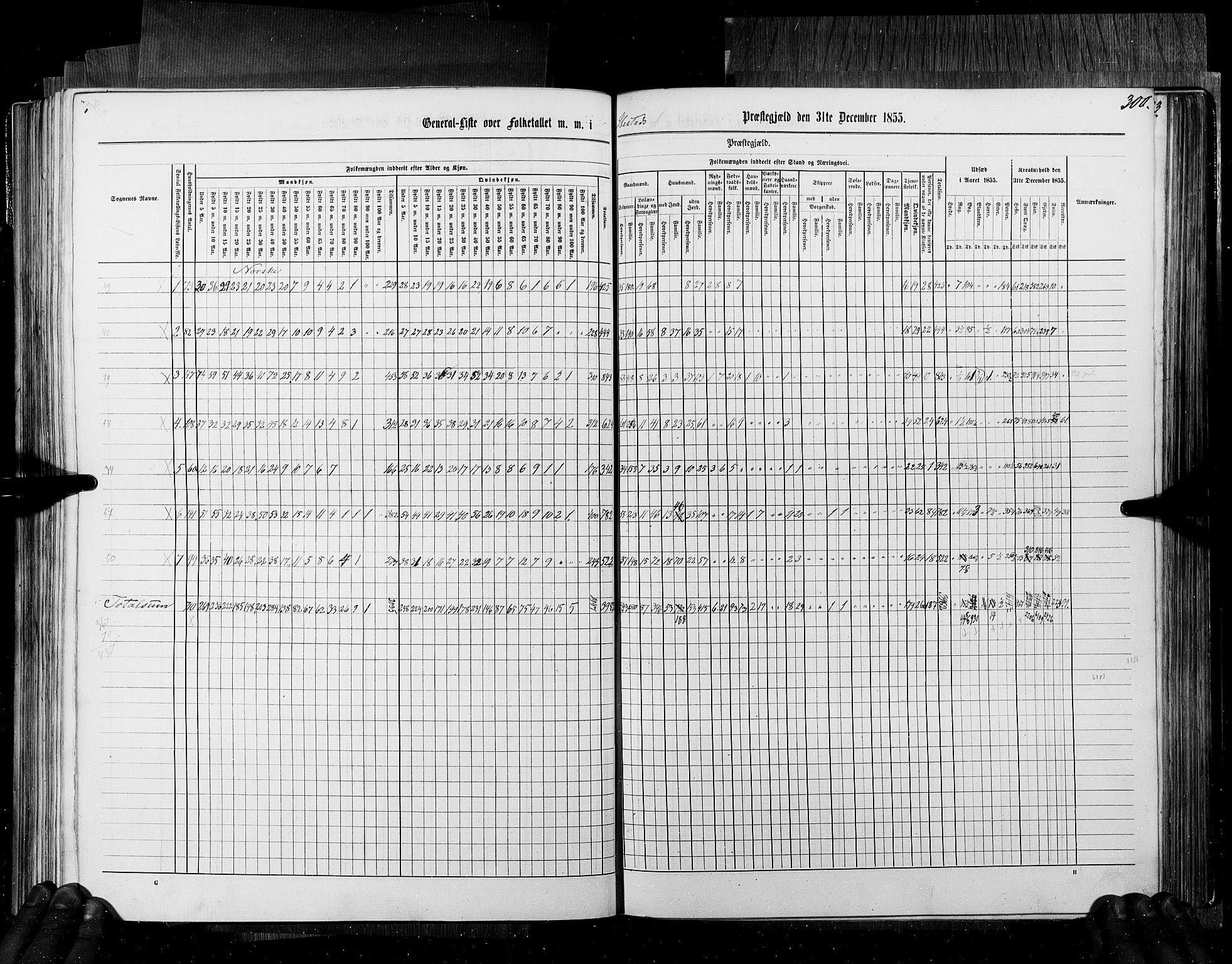 RA, Census 1855, vol. 6B: Nordland amt og Finnmarken amt, 1855, p. 300