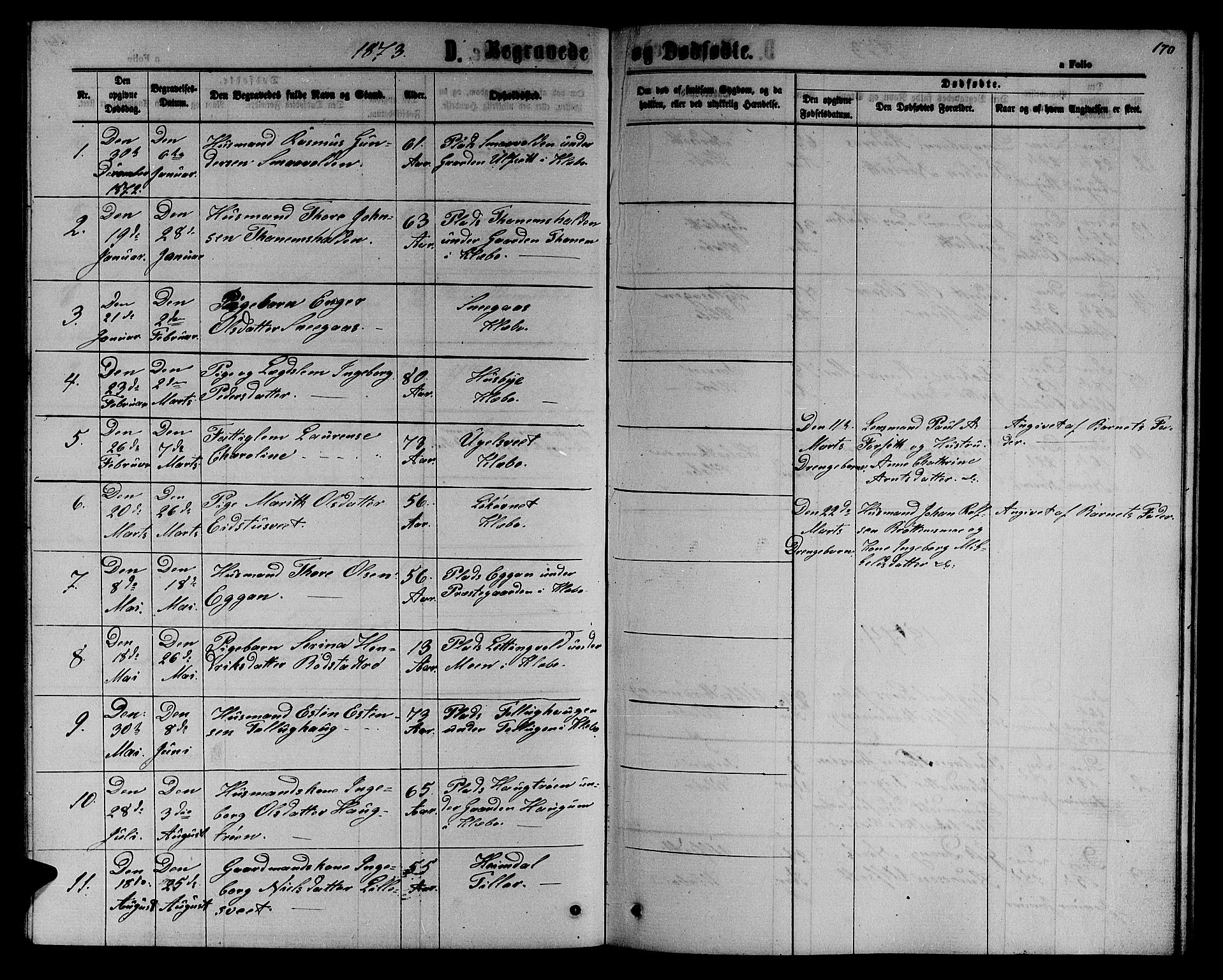 Ministerialprotokoller, klokkerbøker og fødselsregistre - Sør-Trøndelag, SAT/A-1456/618/L0451: Parish register (copy) no. 618C02, 1865-1883, p. 170
