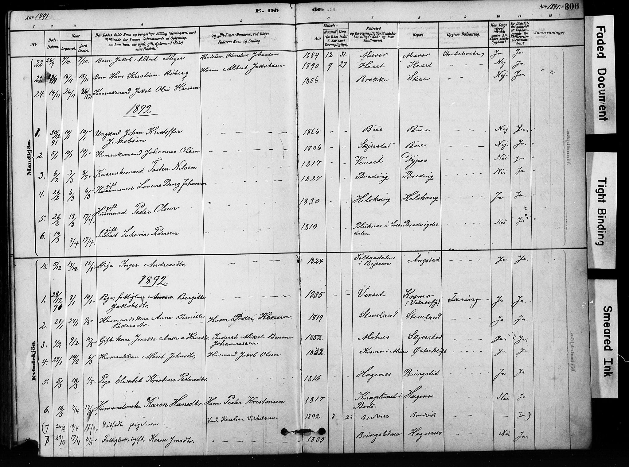 Ministerialprotokoller, klokkerbøker og fødselsregistre - Nordland, AV/SAT-A-1459/852/L0754: Parish register (copy) no. 852C05, 1878-1894, p. 306