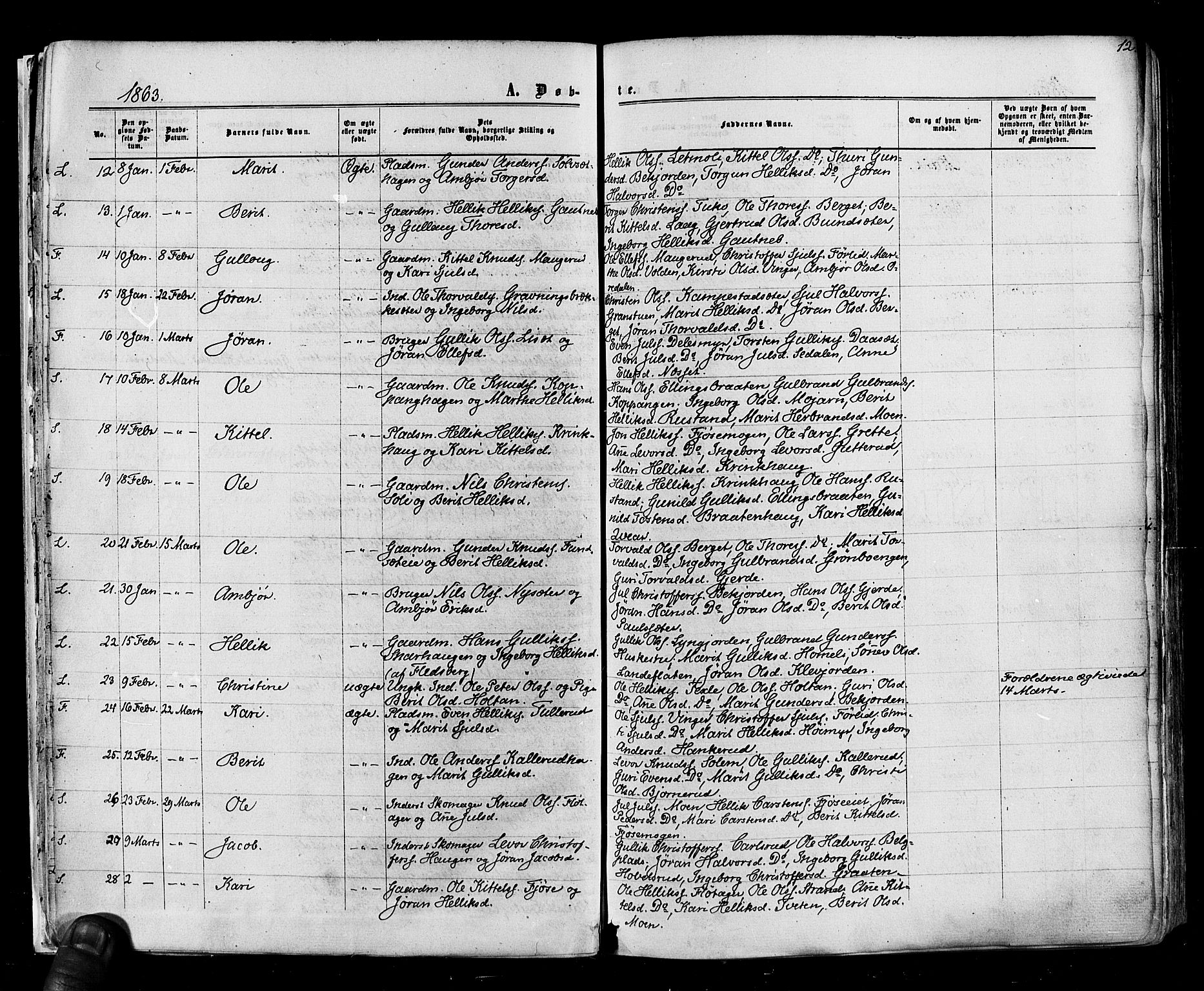 Flesberg kirkebøker, SAKO/A-18/F/Fa/L0007: Parish register (official) no. I 7, 1861-1878, p. 12