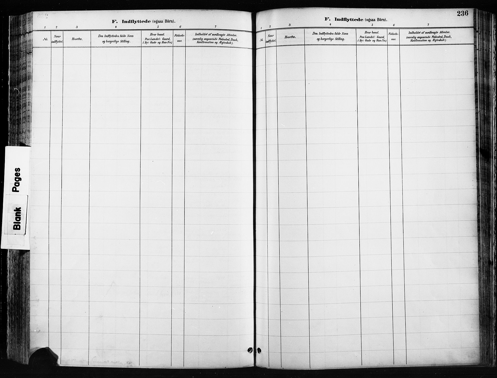 Jevnaker prestekontor, SAH/PREST-116/H/Ha/Haa/L0009: Parish register (official) no. 9, 1891-1901, p. 236