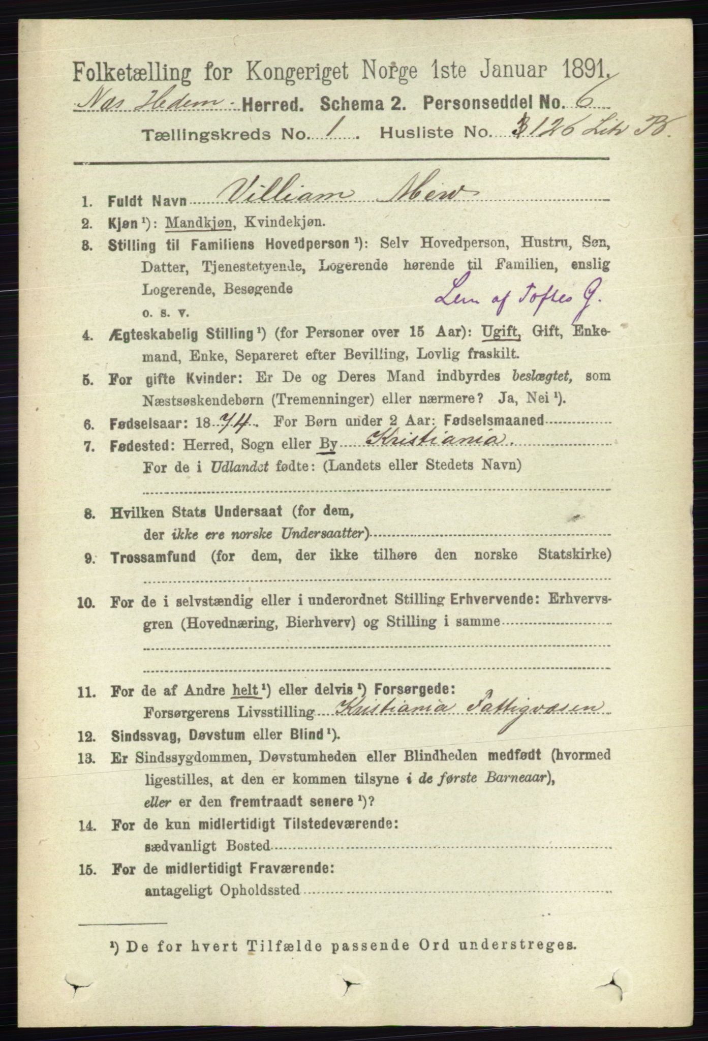 RA, 1891 census for 0411 Nes, 1891, p. 913