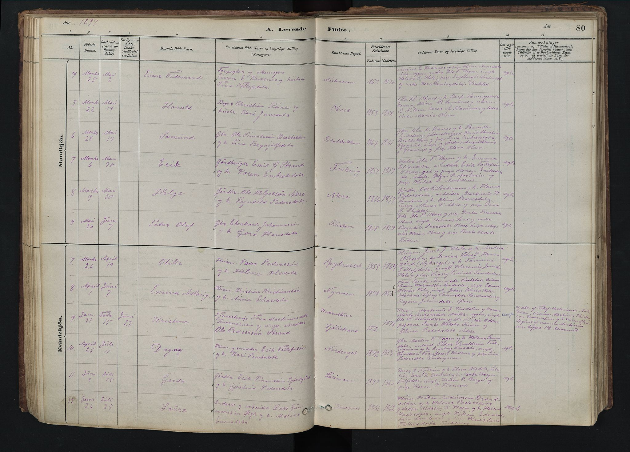 Rendalen prestekontor, SAH/PREST-054/H/Ha/Hab/L0009: Parish register (copy) no. 9, 1879-1902, p. 80