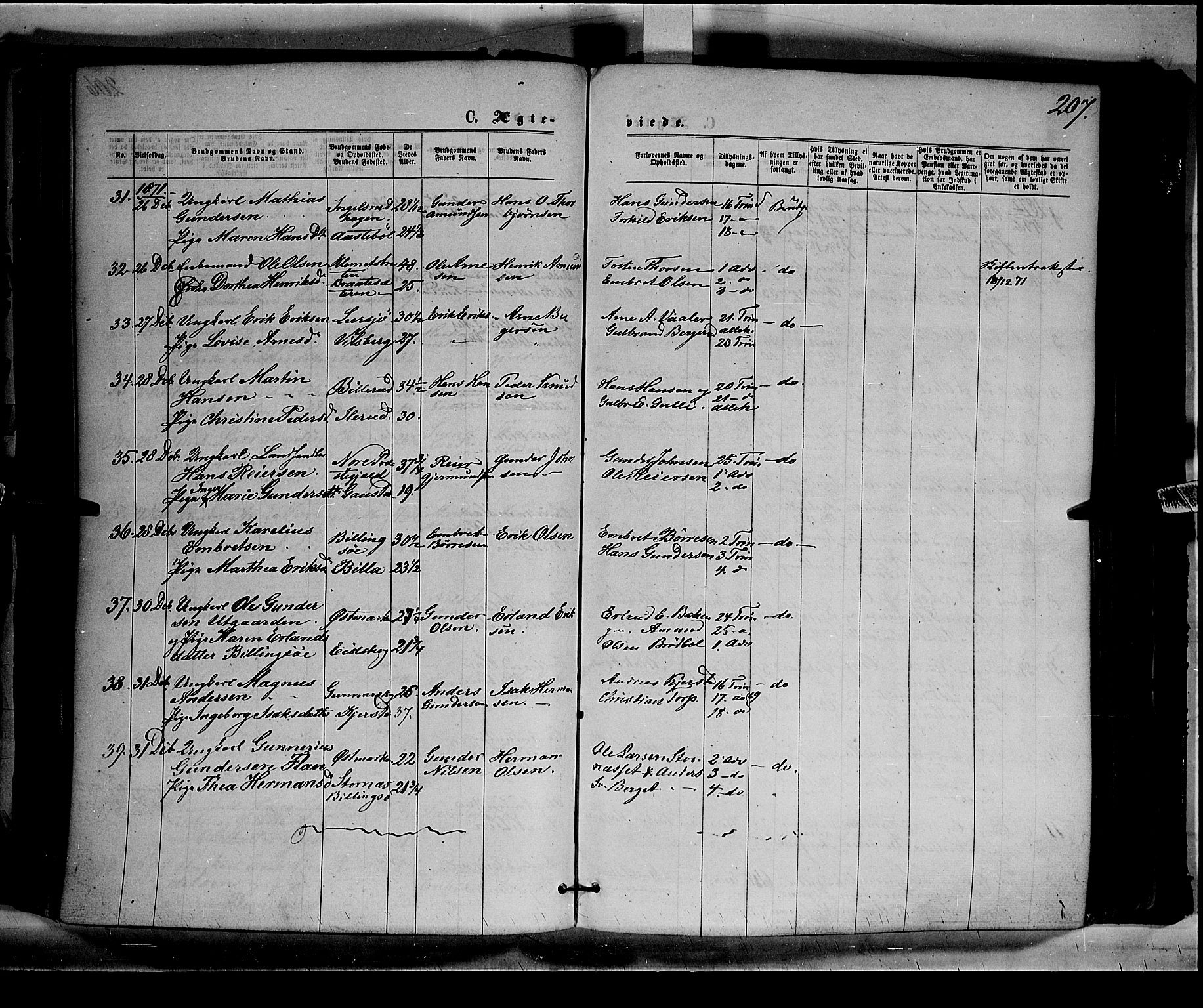 Eidskog prestekontor, AV/SAH-PREST-026/H/Ha/Haa/L0002: Parish register (official) no. 2, 1867-1878, p. 207