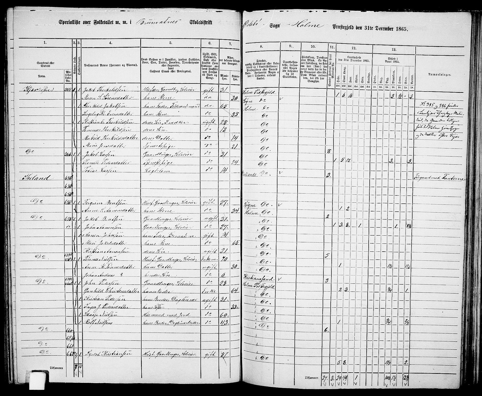 RA, 1865 census for Holum, 1865, p. 106