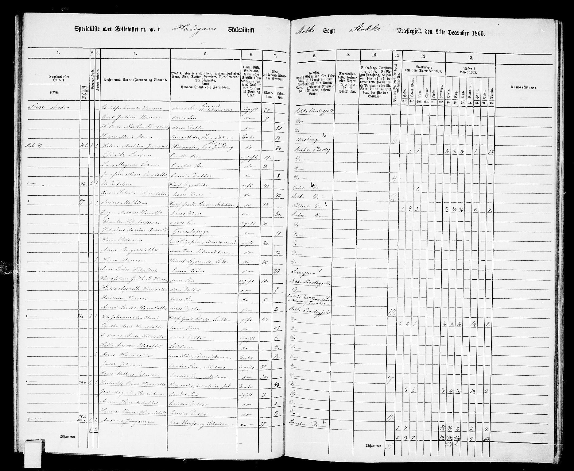 RA, 1865 census for Stokke, 1865, p. 83