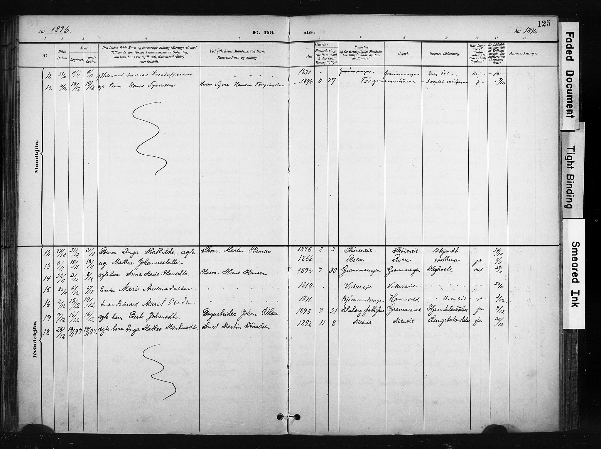 Søndre Land prestekontor, SAH/PREST-122/K/L0004: Parish register (official) no. 4, 1895-1904, p. 125