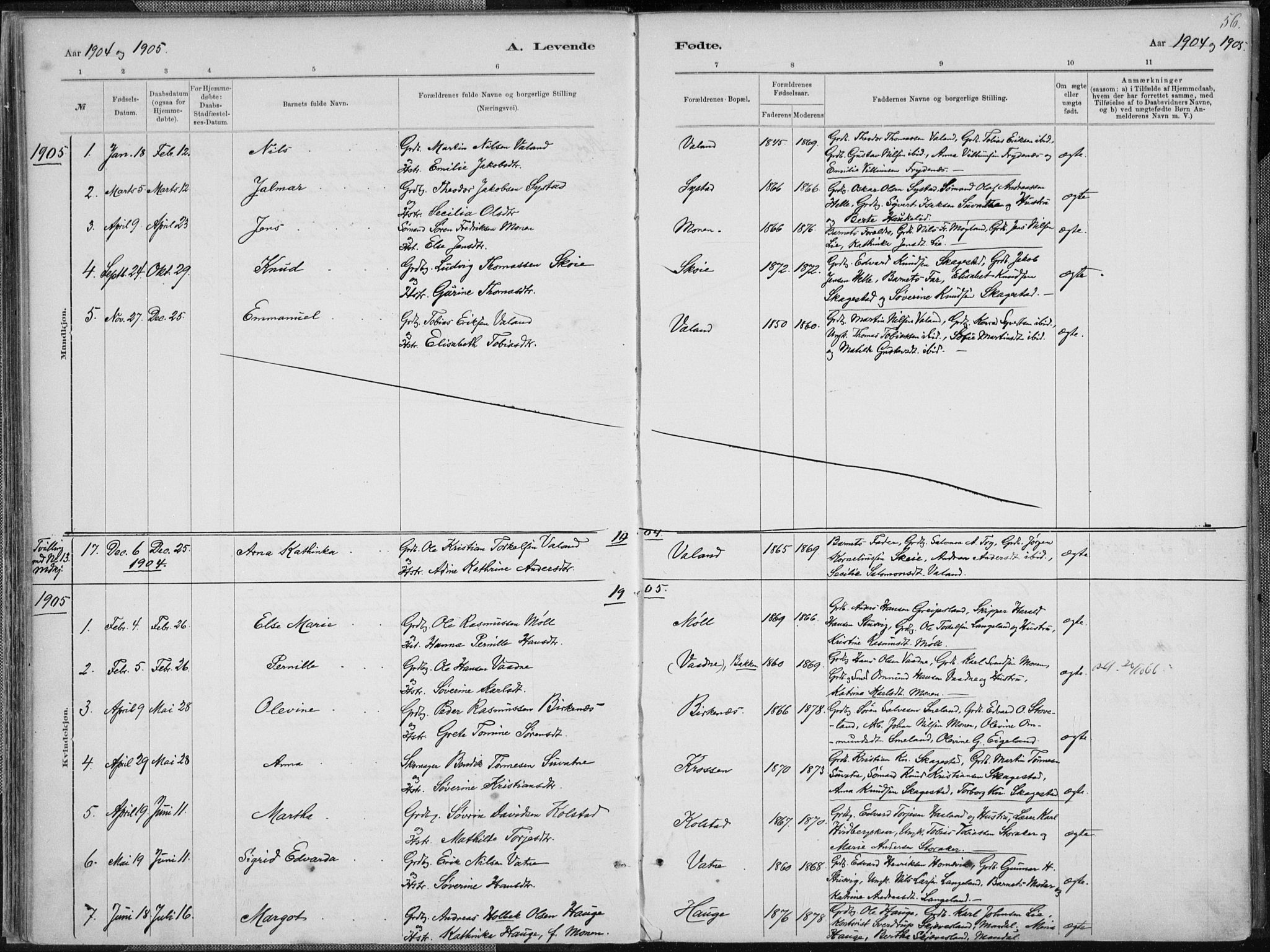 Holum sokneprestkontor, AV/SAK-1111-0022/F/Fa/Faa/L0007: Parish register (official) no. A 7, 1884-1907, p. 56