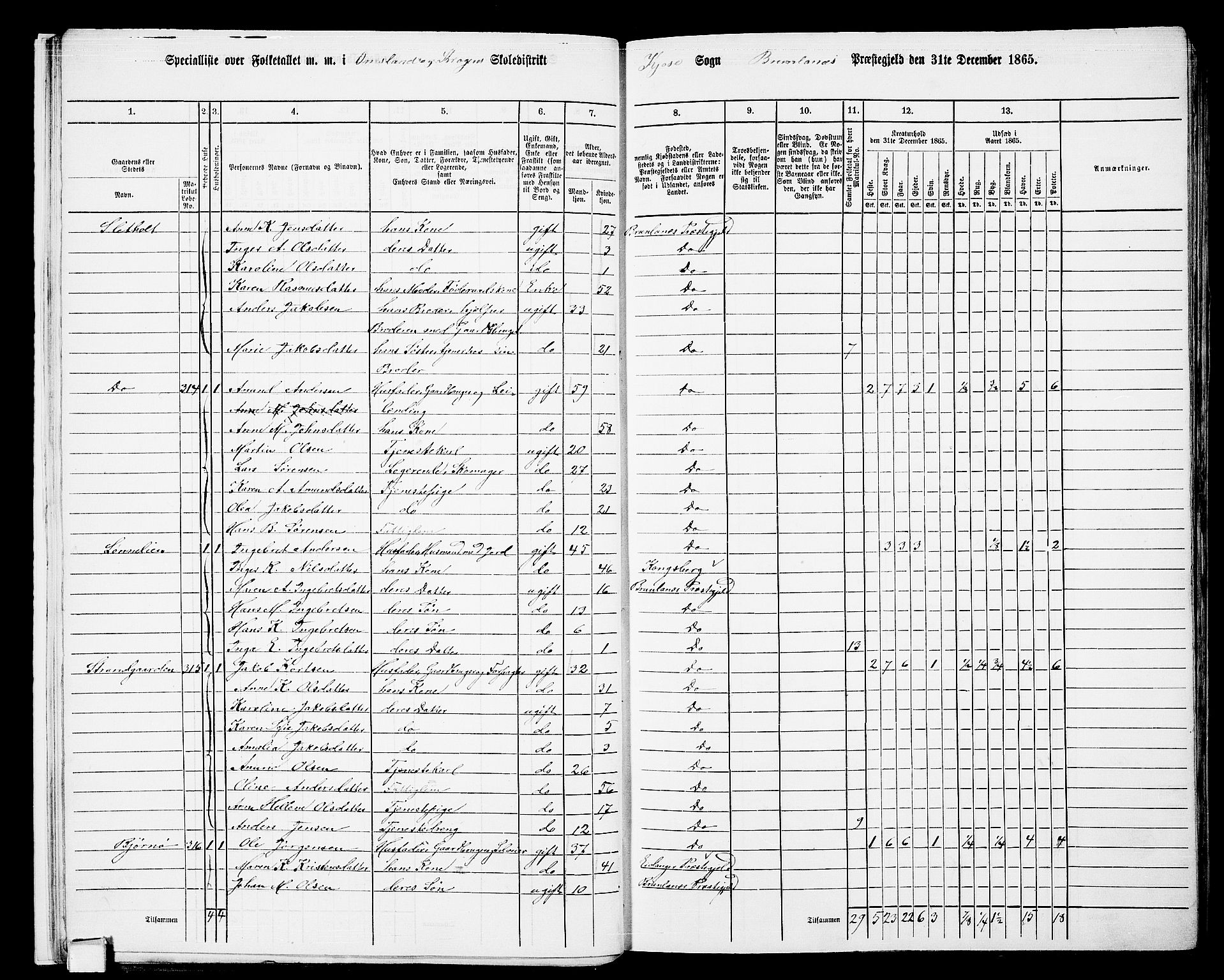 RA, 1865 census for Brunlanes, 1865, p. 17