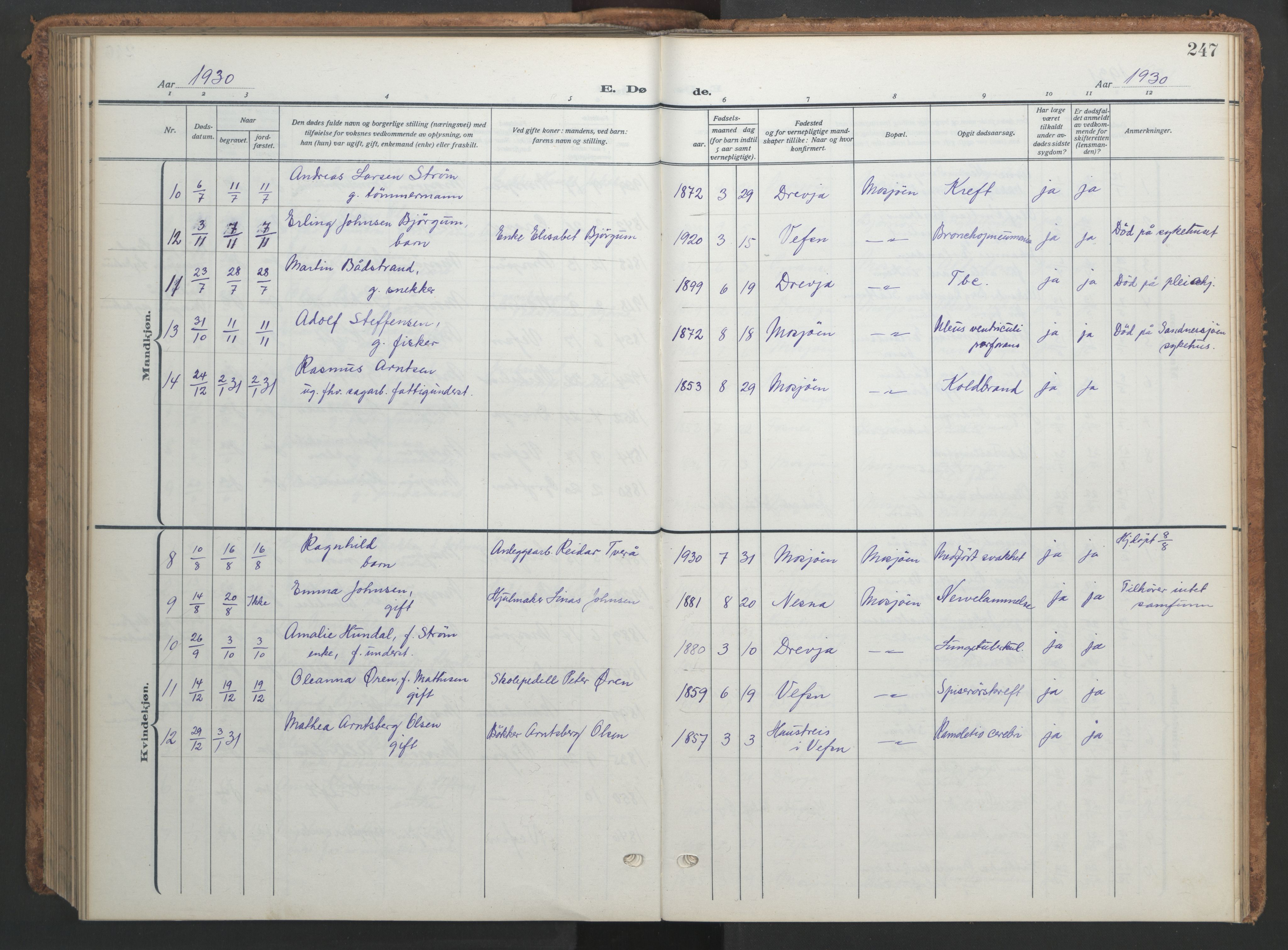 Ministerialprotokoller, klokkerbøker og fødselsregistre - Nordland, AV/SAT-A-1459/820/L0303: Parish register (copy) no. 820C05, 1917-1952, p. 247