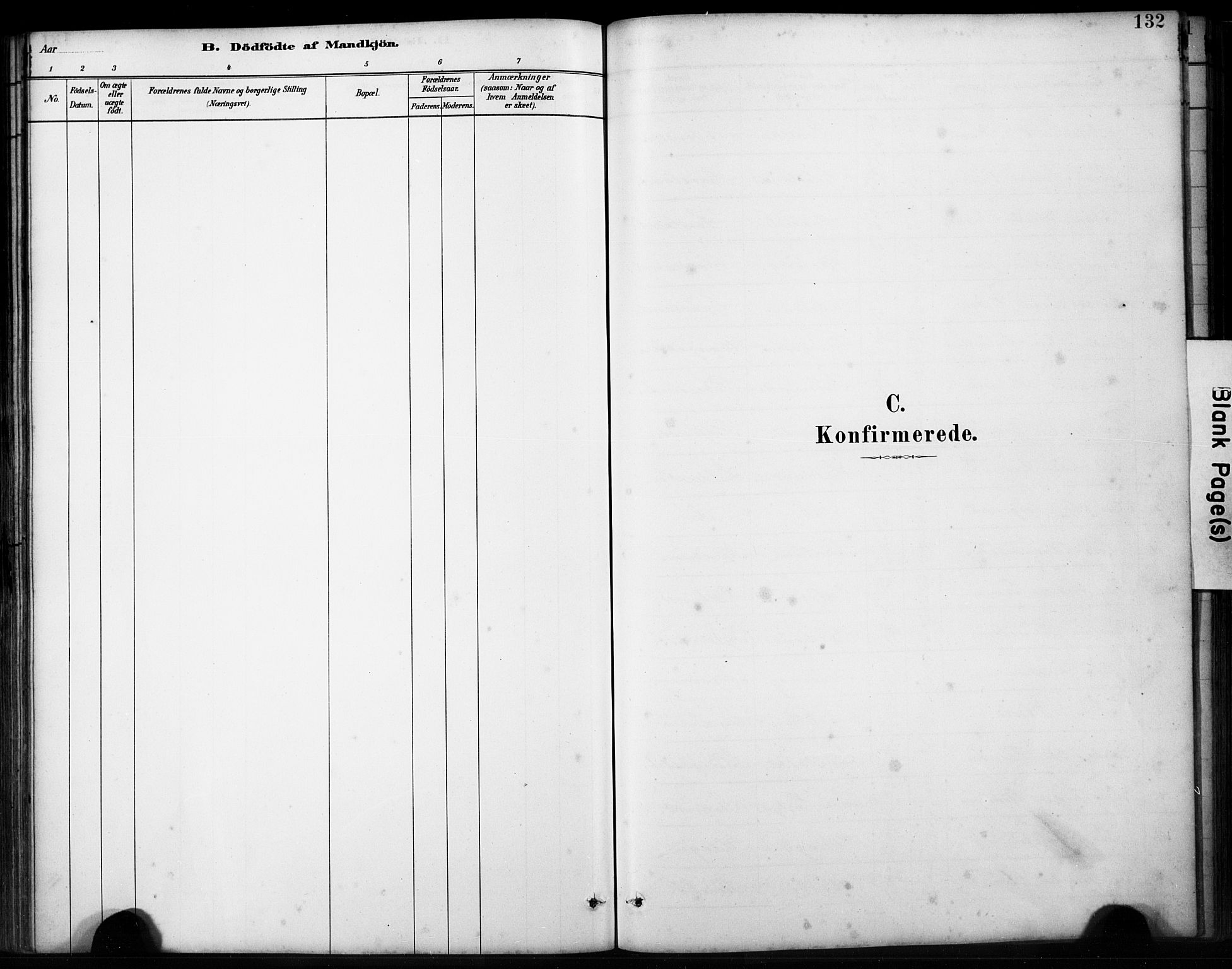 Finnås sokneprestembete, SAB/A-99925/H/Ha/Hab/Habb/L0003: Parish register (copy) no. B 3, 1882-1897, p. 132